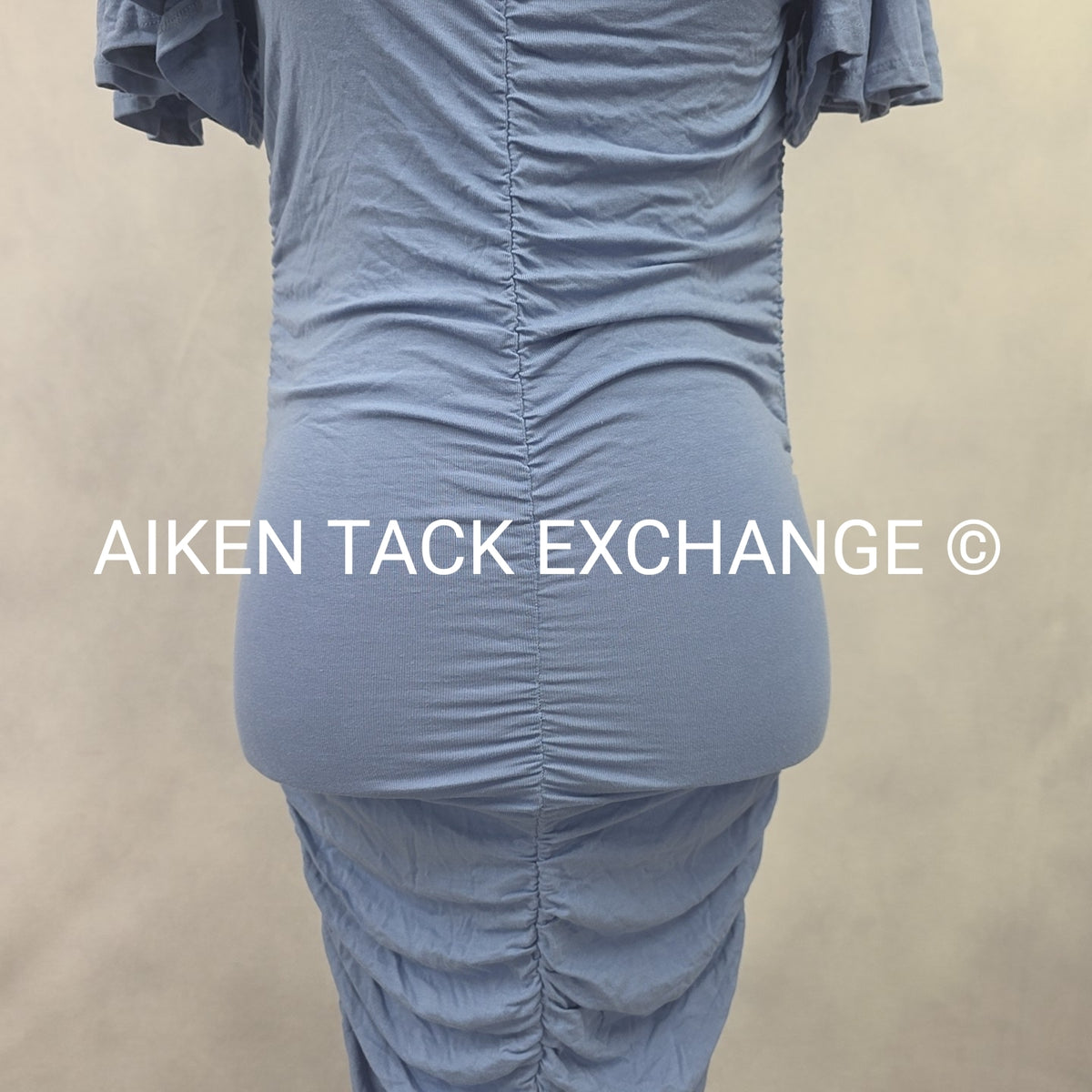Venus Dress, Size X-Small