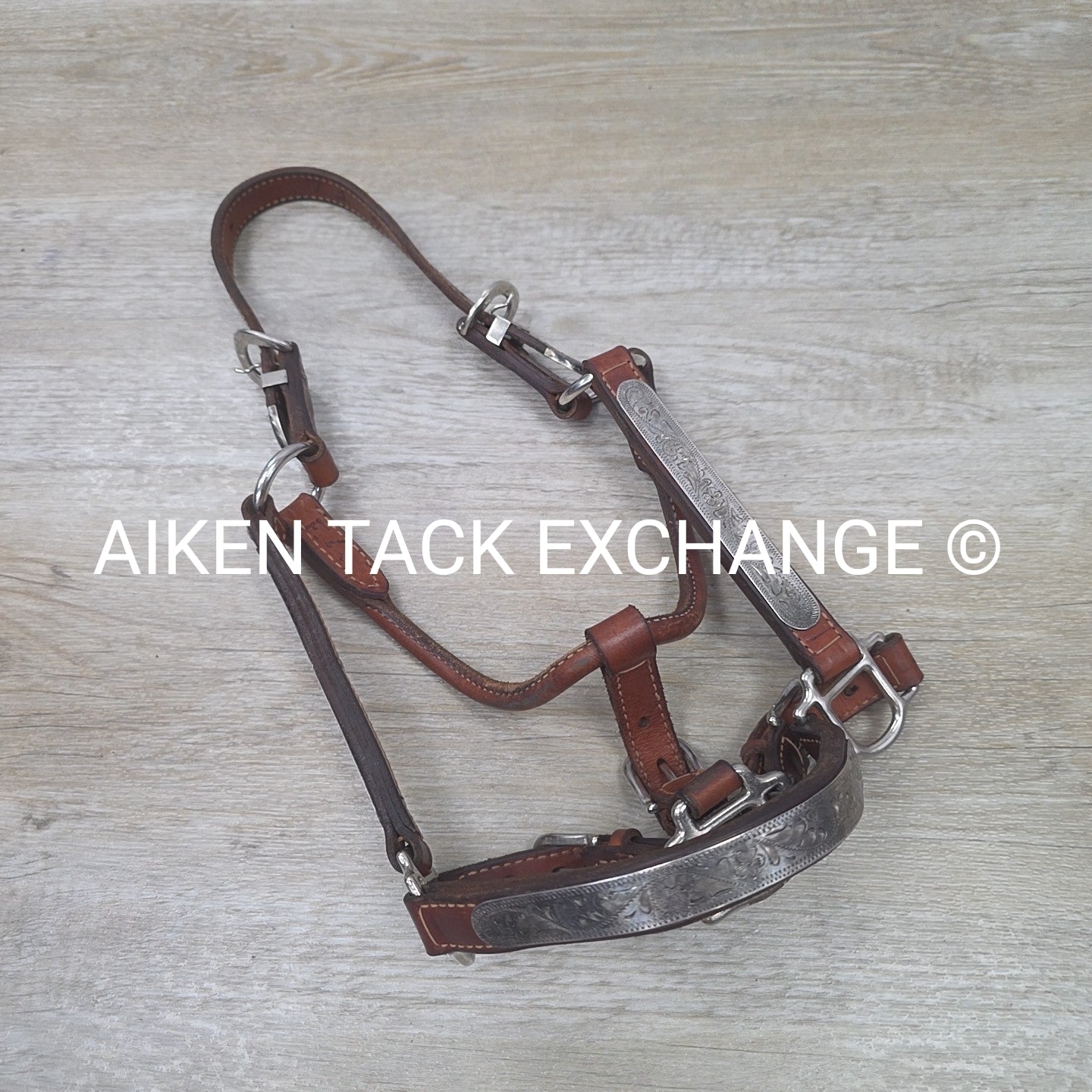 Western Show Halter, Size Foal
