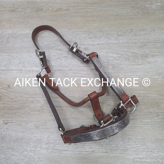 Western Show Halter, Size Foal
