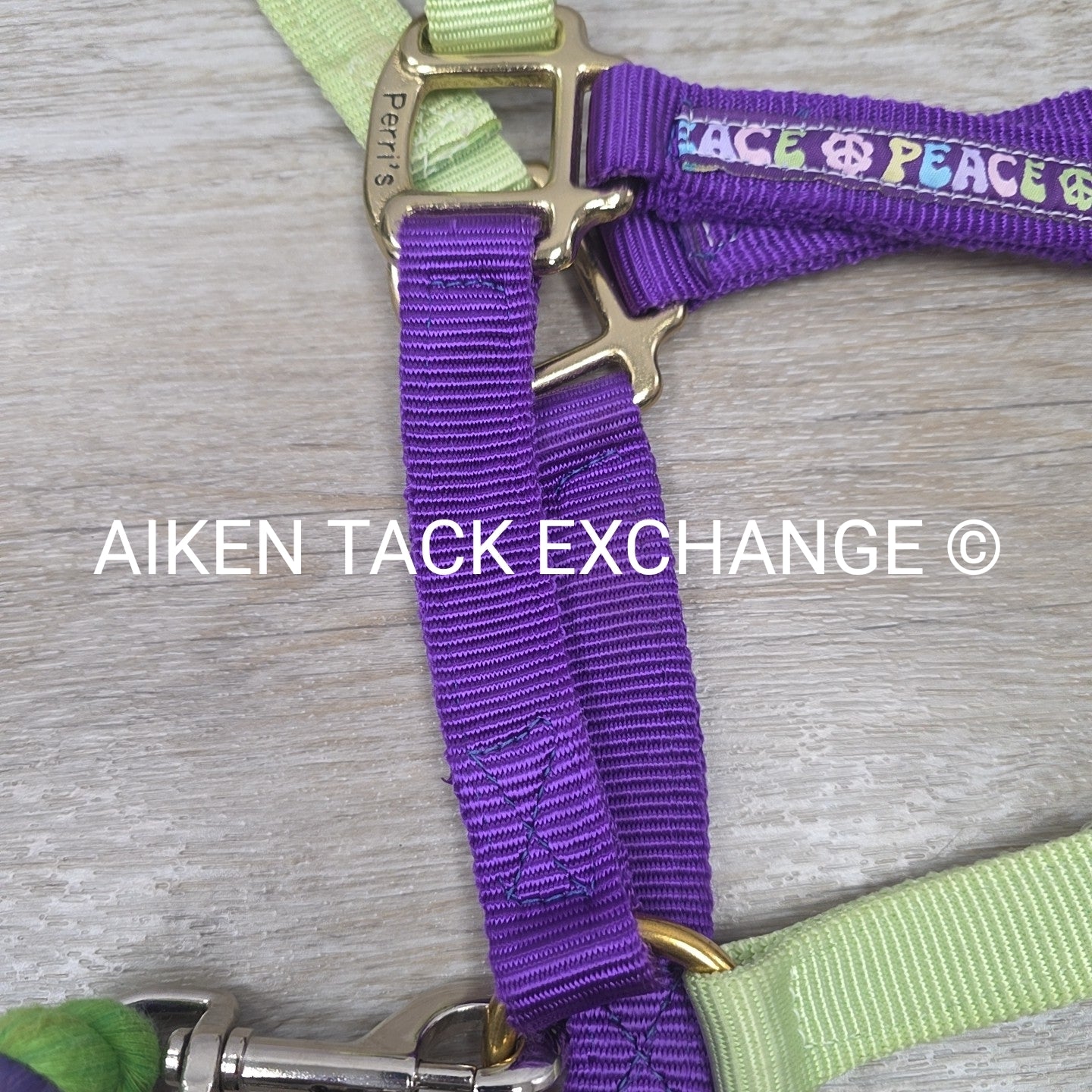 Perri's Nylon Breakaway Halter w/ Cotton Lead Rope, Size Cob