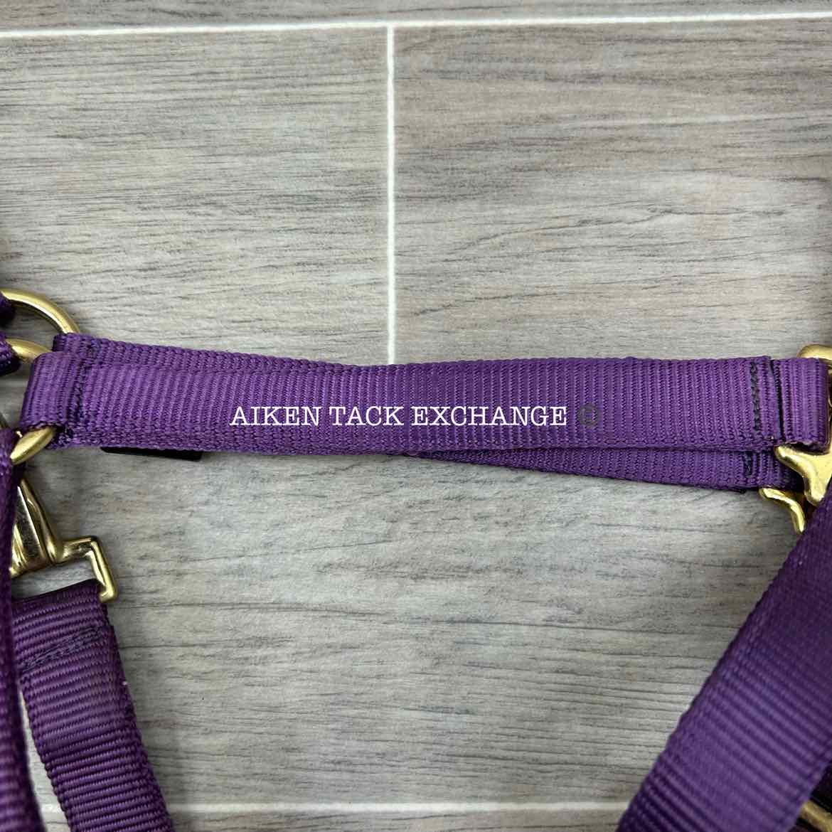 Dover Saddlery Heavy Nylon Halter, Oversize