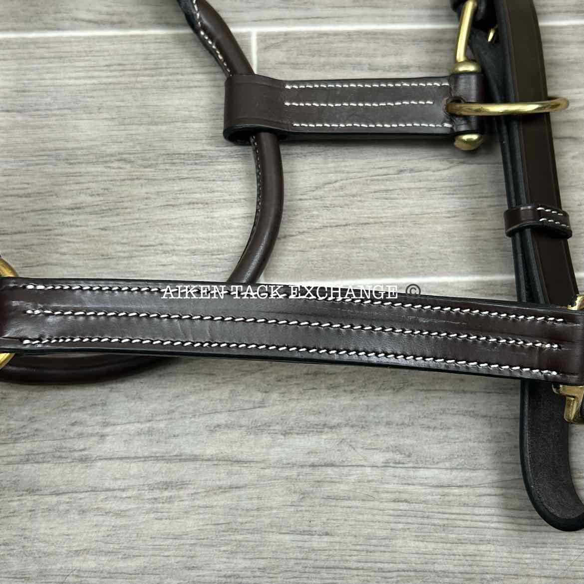 KL Select Black Oak Pine Leather Halter, Brown/Brass, Size Pony