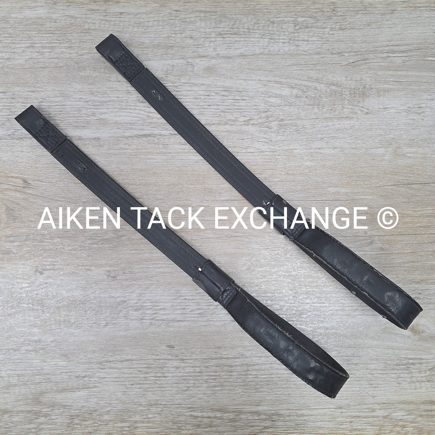 Wintec Webbers, Black