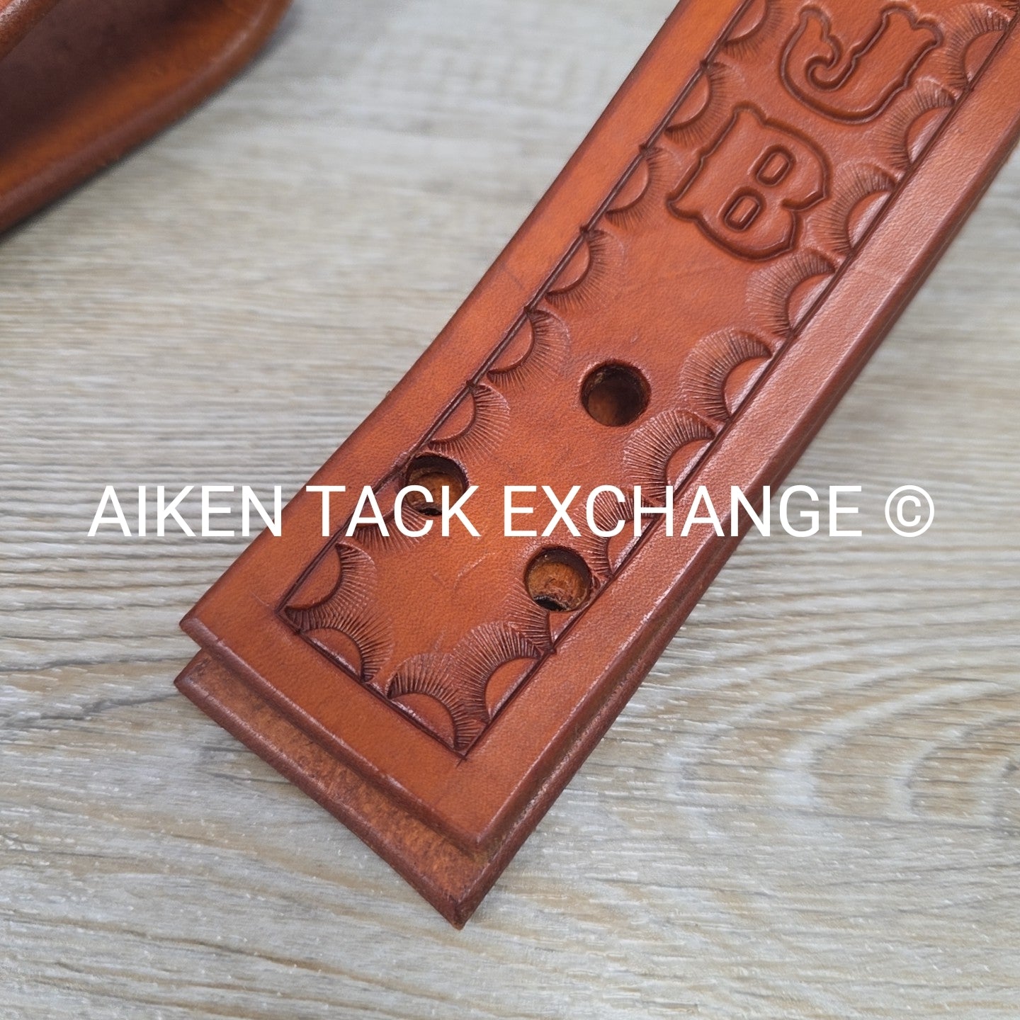 Rear Cinch Billets with Extenders