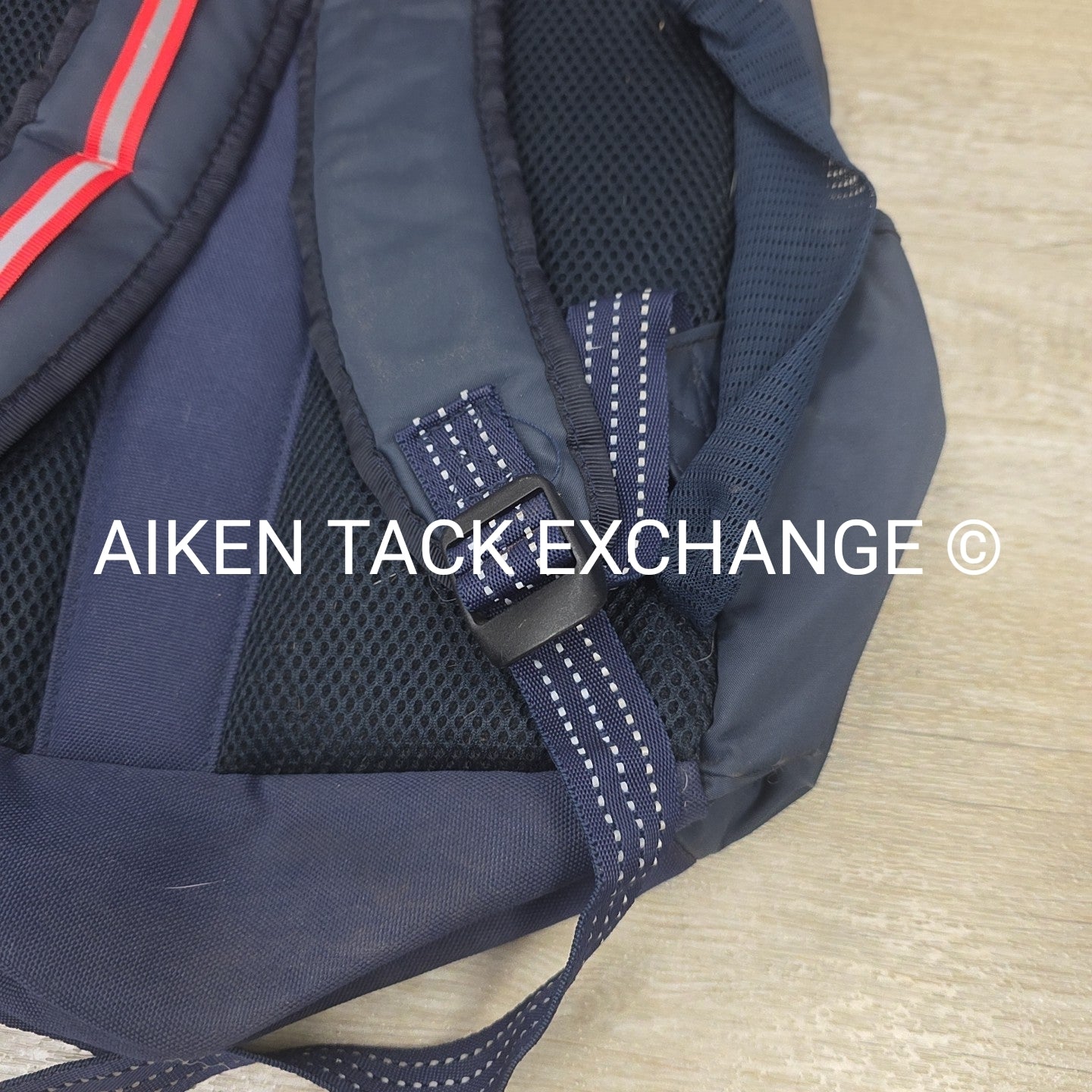 Ariat Ringside Backpack (has blemishes)