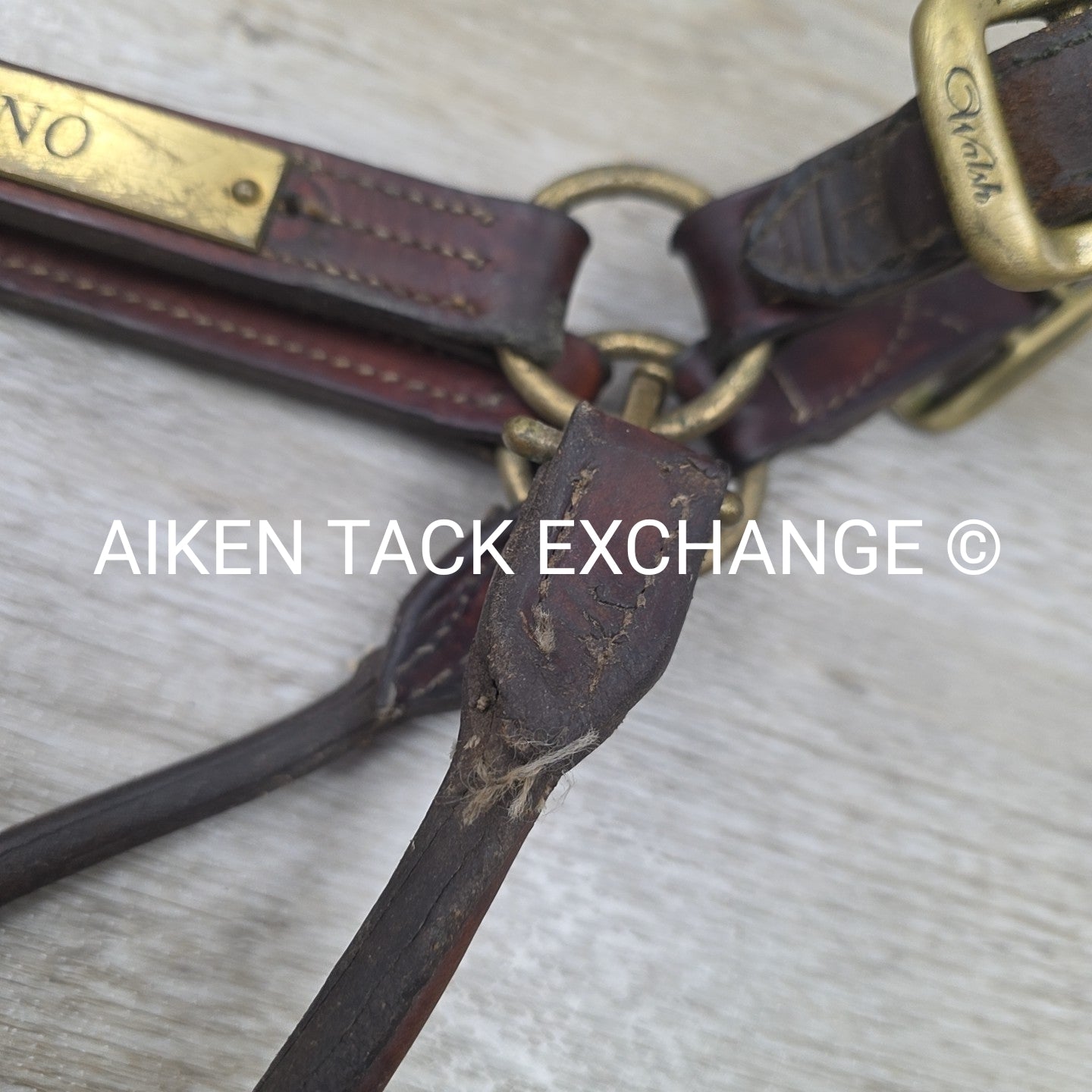Walsh Triple Stitched Leather Halter, Has Name Plate, Size Cob