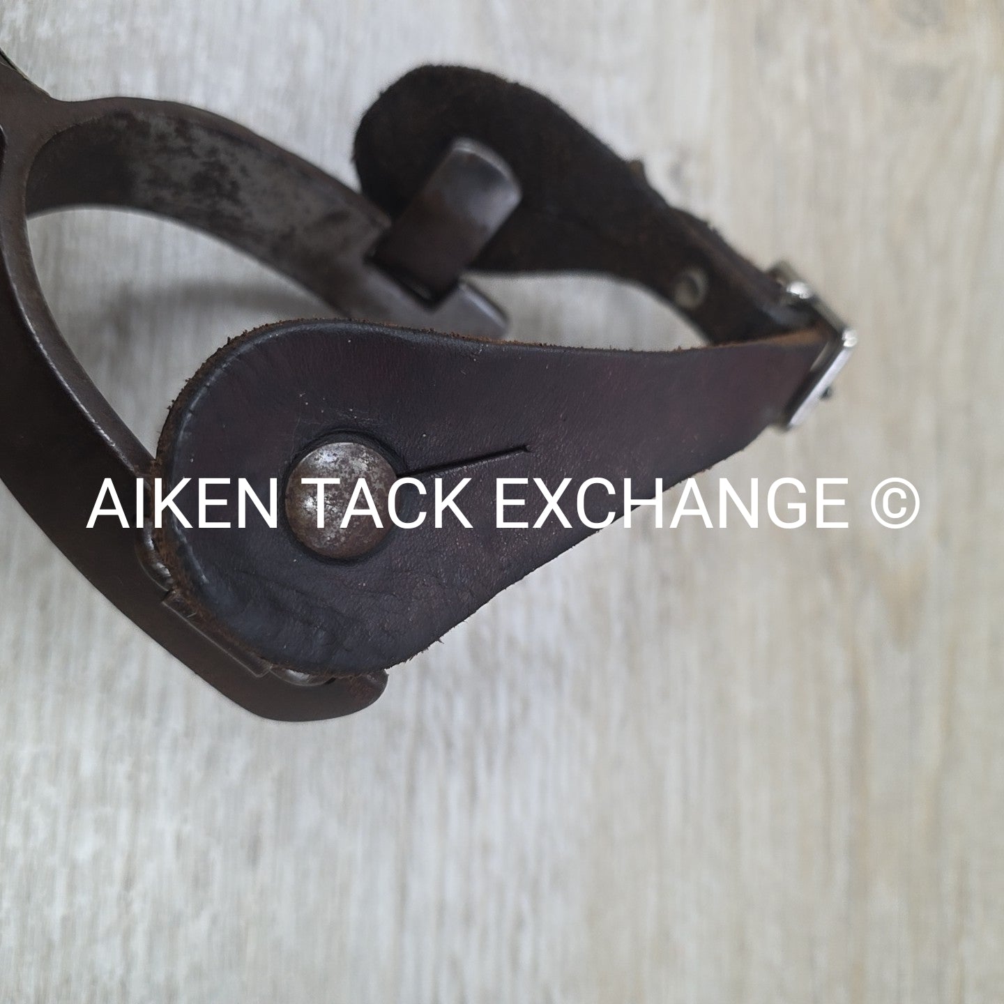 Classic Equine Cowboy Series Spurs with Chap Guard & Leather Spur Straps