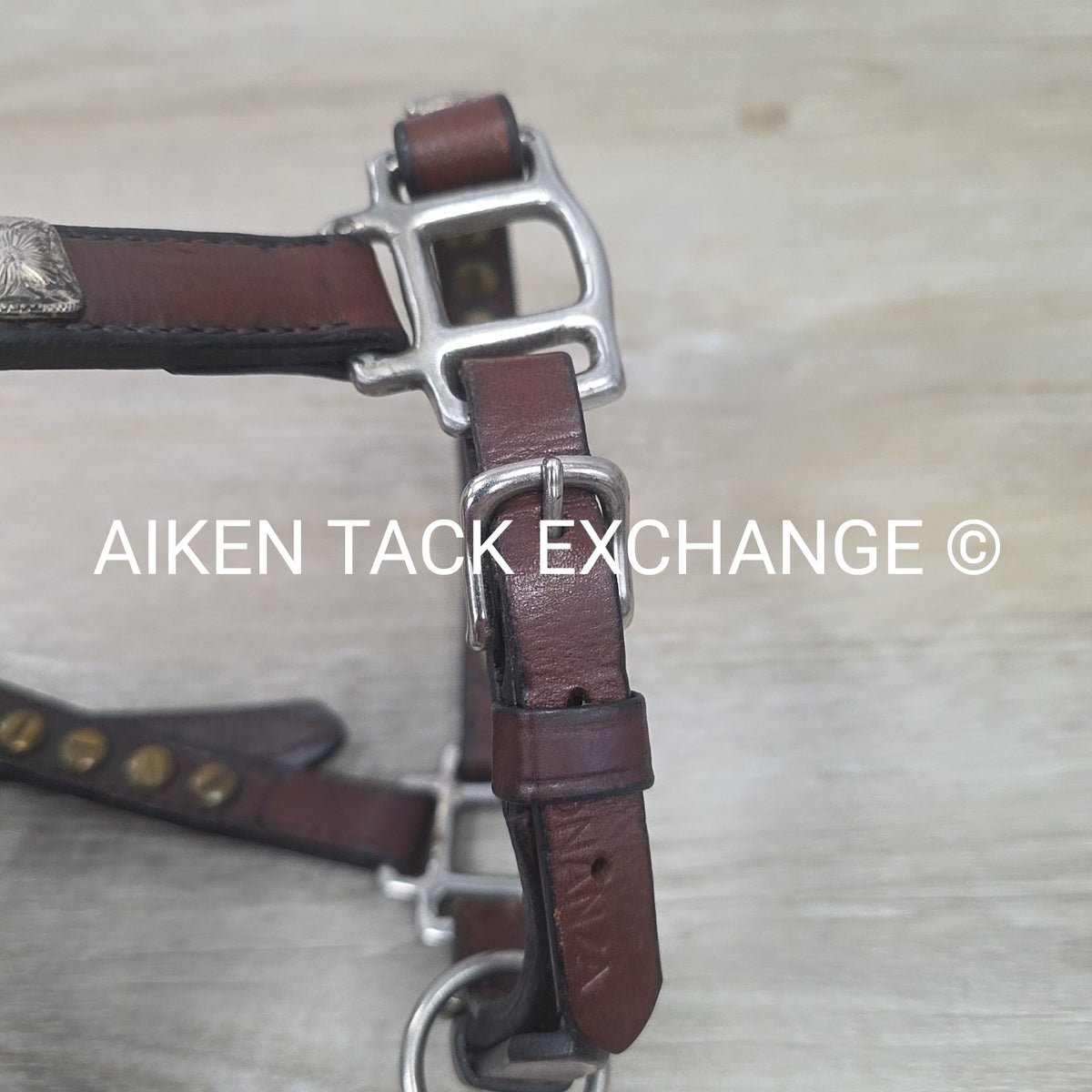 Western Show Halter, Size Foal