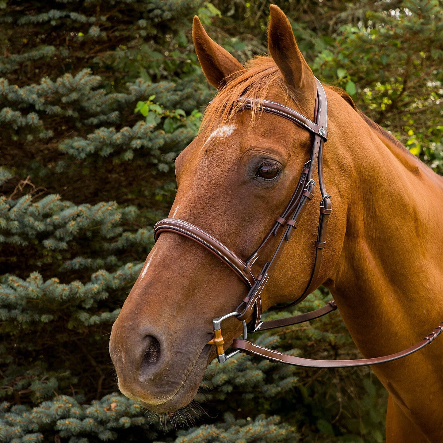 Henri de Rivel Pro Mono Crown Fancy Stitched Padded Bridle: Havana / Horse