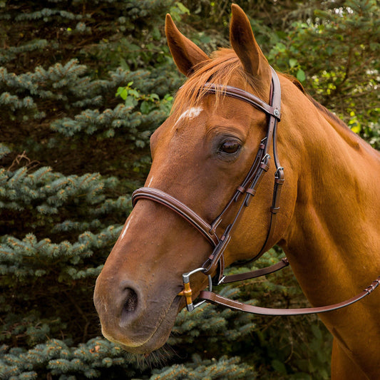 Henri de Rivel Pro Mono Crown Fancy Stitched Padded Bridle: Australian Nut / Pony