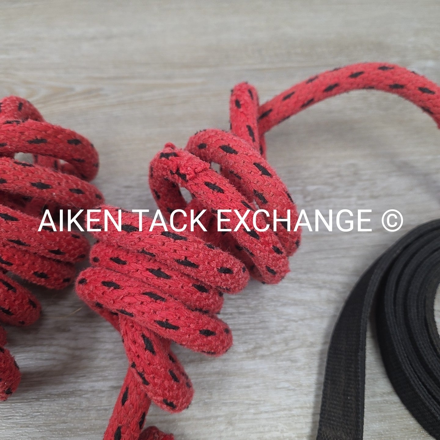 BARGAIN BUNDLE: Lead Ropes w/ Snaps