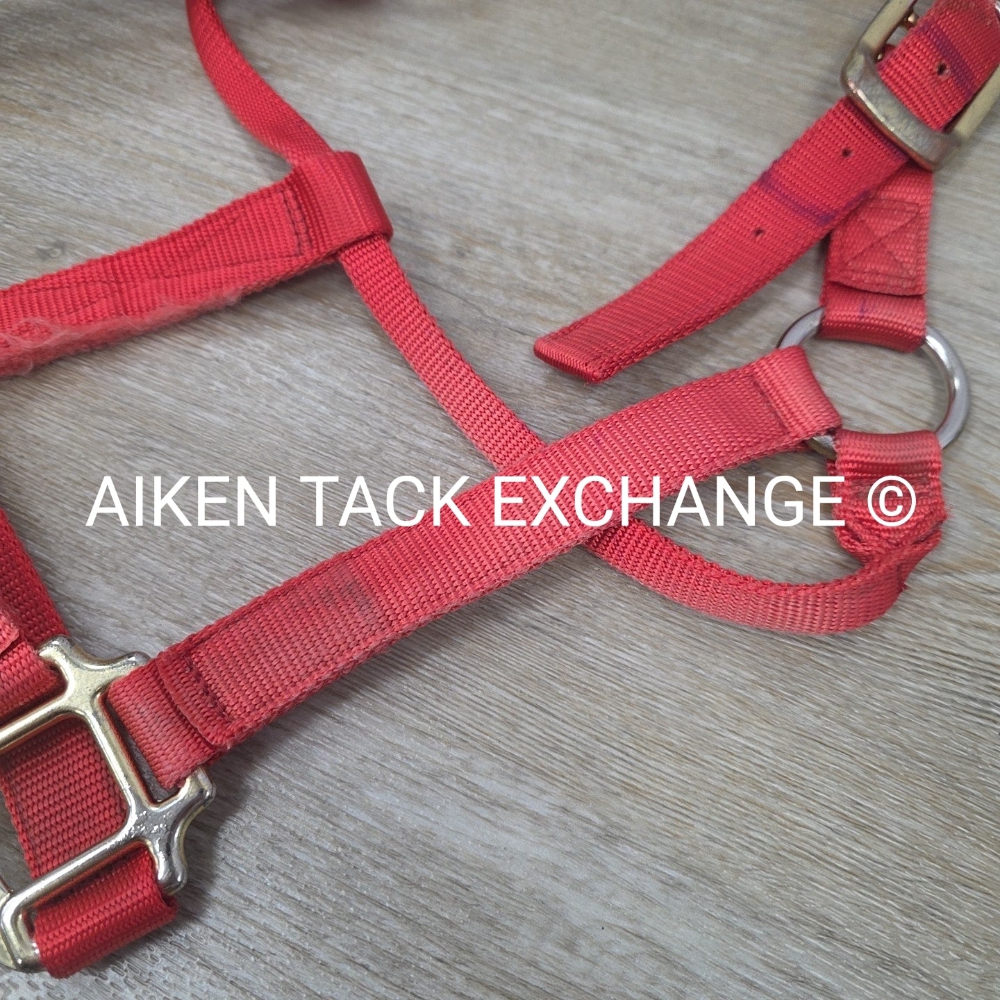 BARGAIN BUNDLE: Nylon Halter, Large, Nylon Halter Missing Crown, Full & Lead Rop