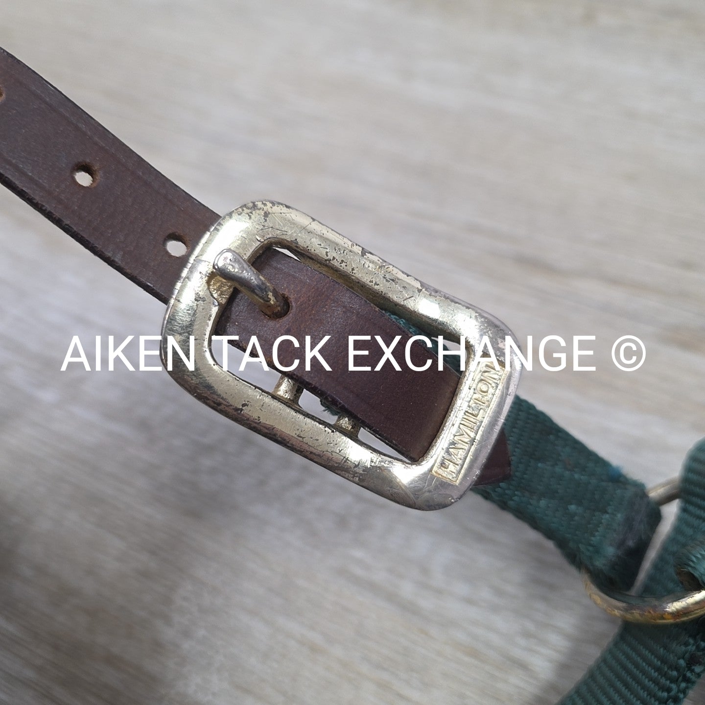 Hamilton Nylon Breakaway Halter, Size Foal