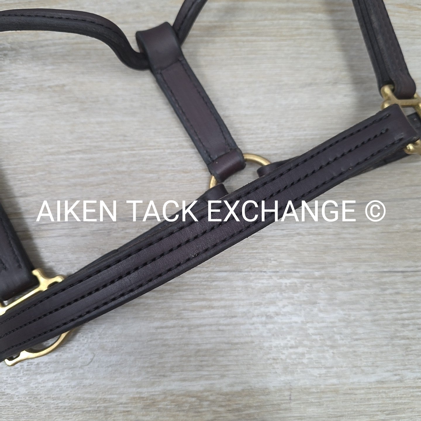 Perri's Heavy Duty Track Halter w/ Snap, Size Cob