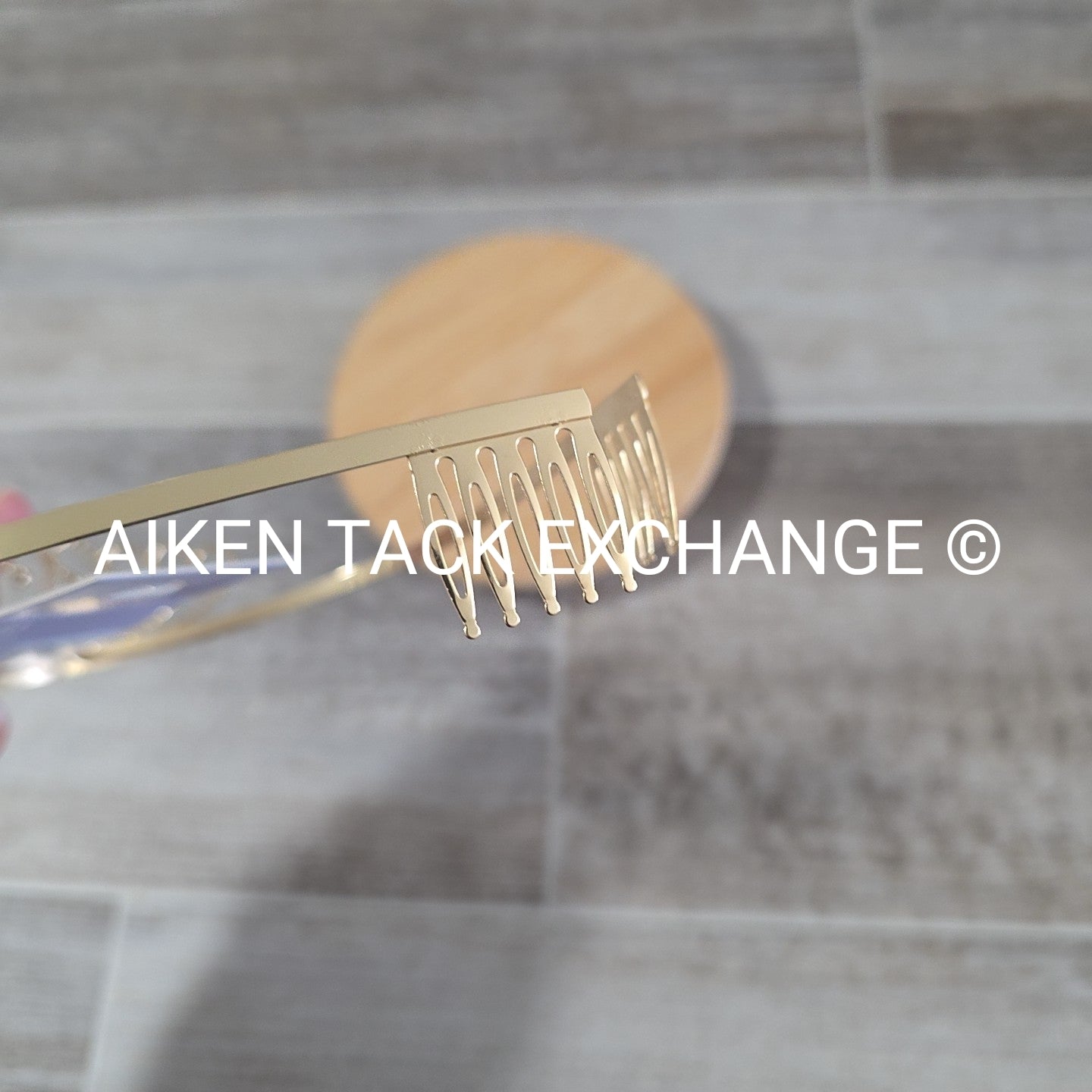 Claire's Tiara + Necklace