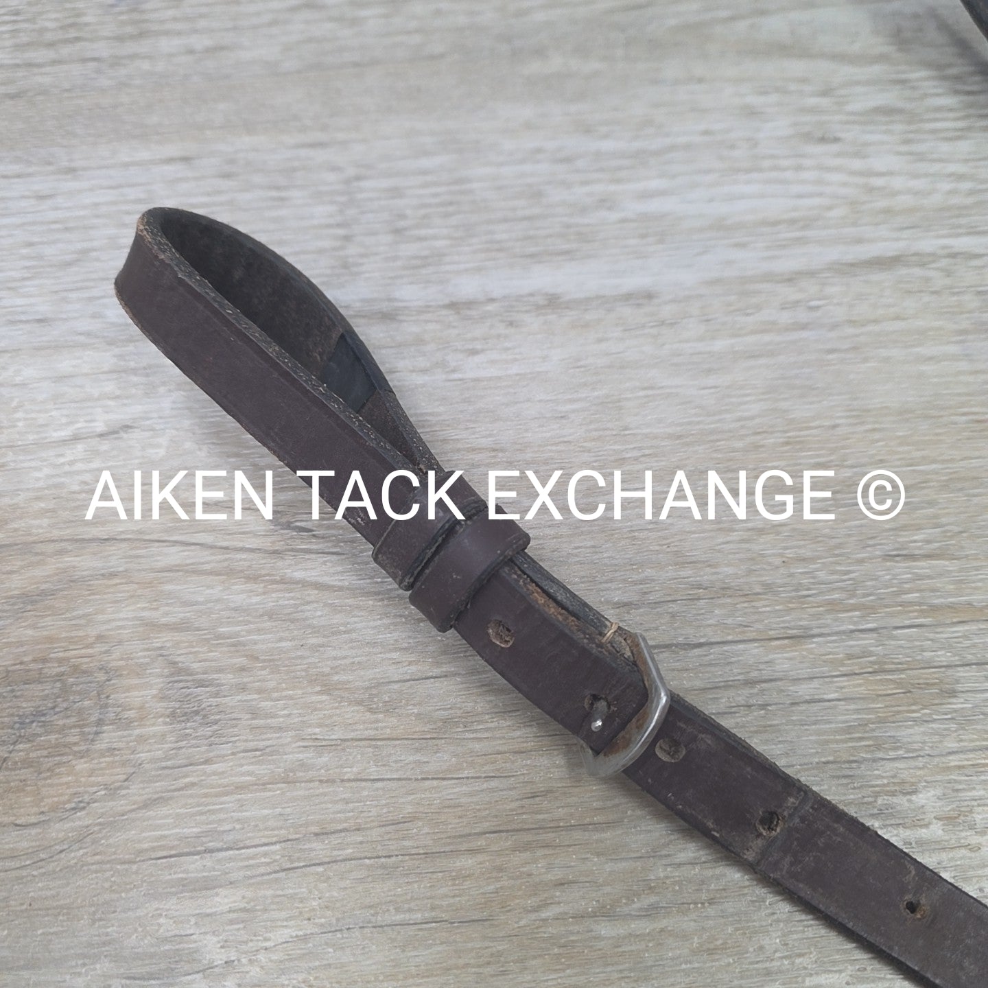 BARGAIN BUNDLE: Fancy Stitched Standing Martigale, Cob & Cotton Web Reins, Full