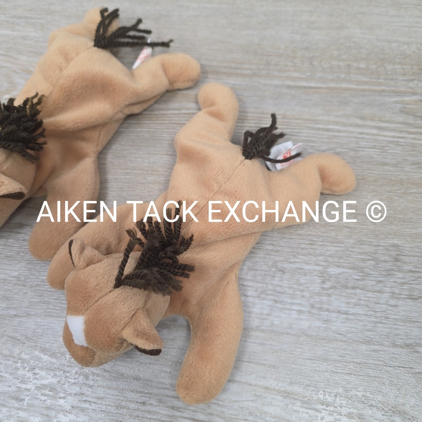 BARGAIN BUNDLE: 2 Derby the Horse Beanie Babies