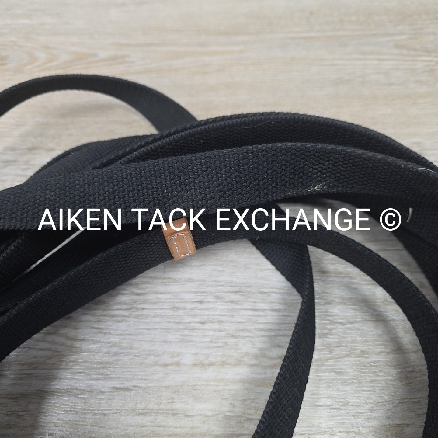Centaur Web Lunge Line with Donut, 35'