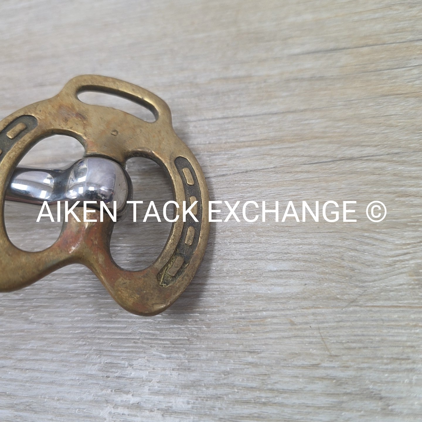 Mullen Mouth Horseshoe Stallion Bit 4.5"