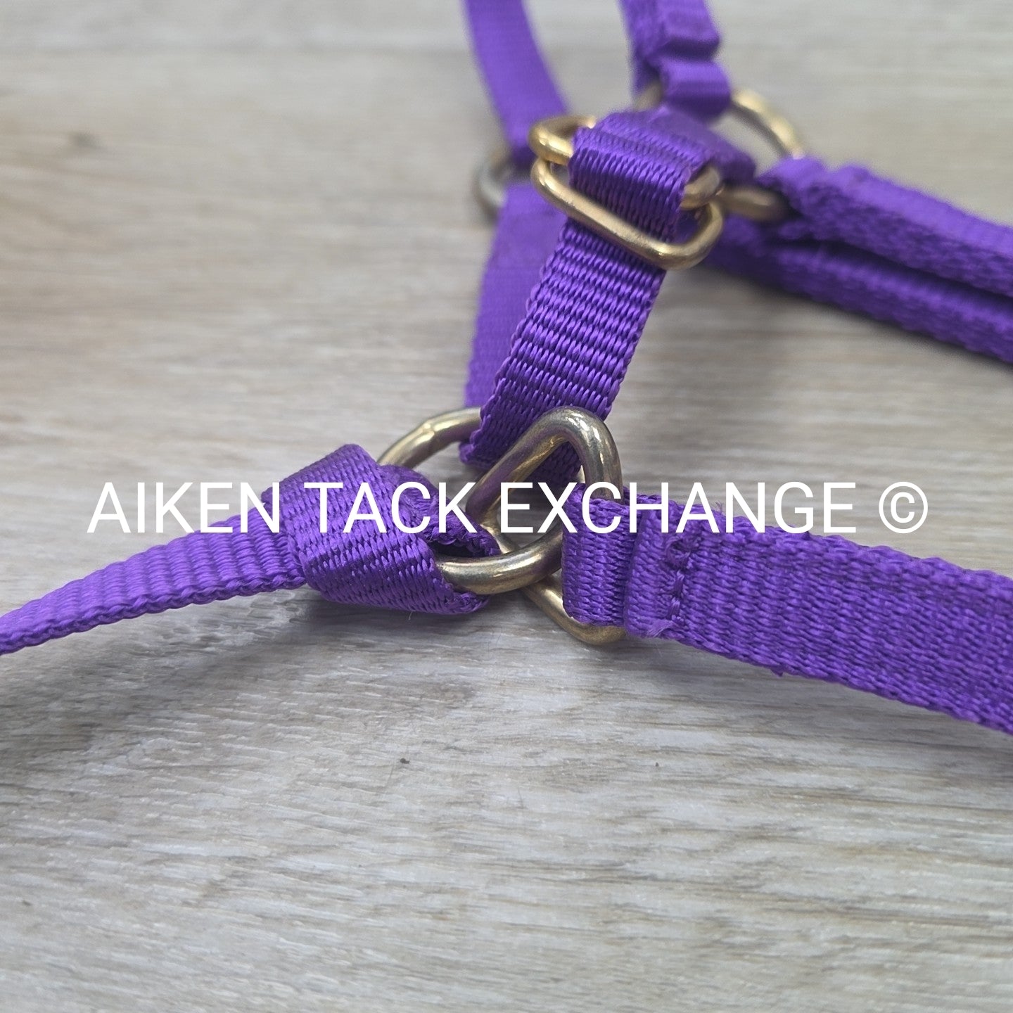 Tough1 Adjustable Nylon Halter, Medium Mini