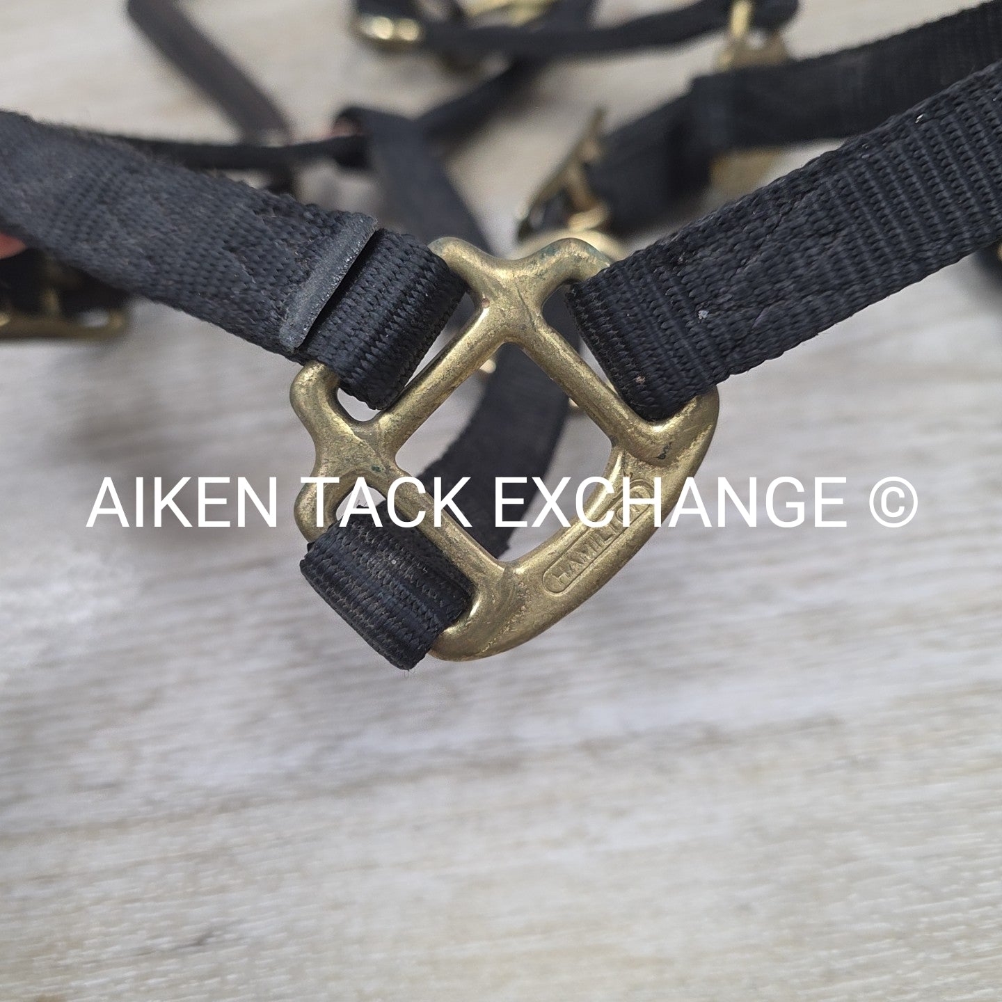 BARGAIN BUNDLE: 2 Nylon Breakaway Halters, Size Weanling / Pony