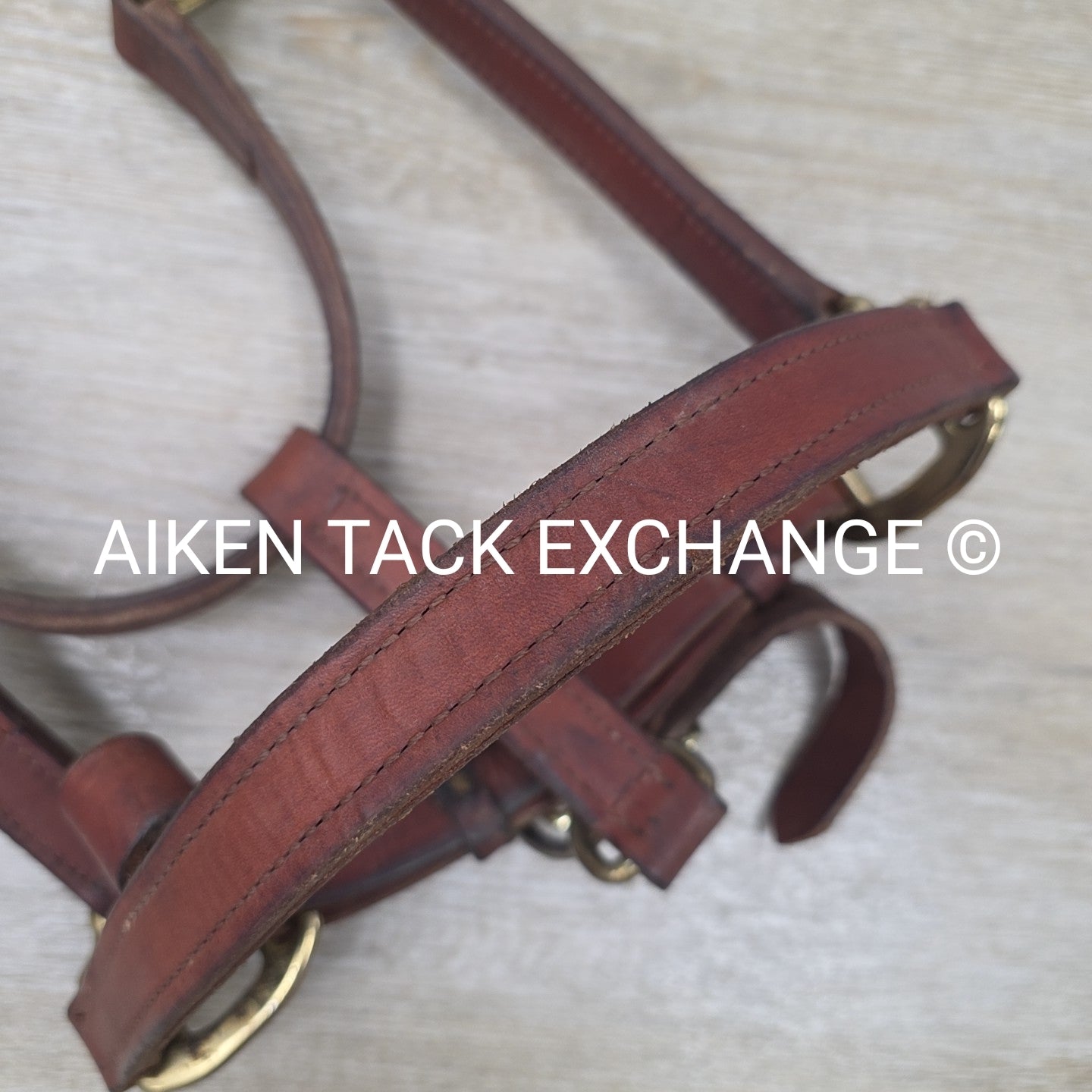 BARGAIN BUNDLE: Perri's Leather Halter with Leather Lead Chain