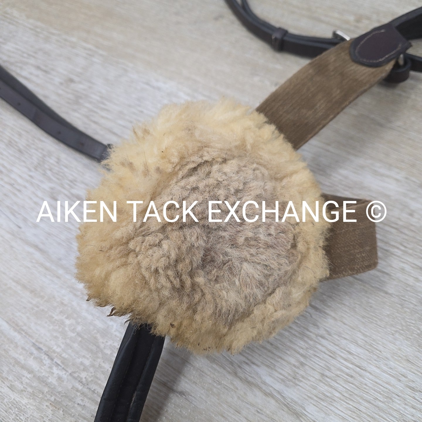 5 Point Breastplate, Brown, Size Full