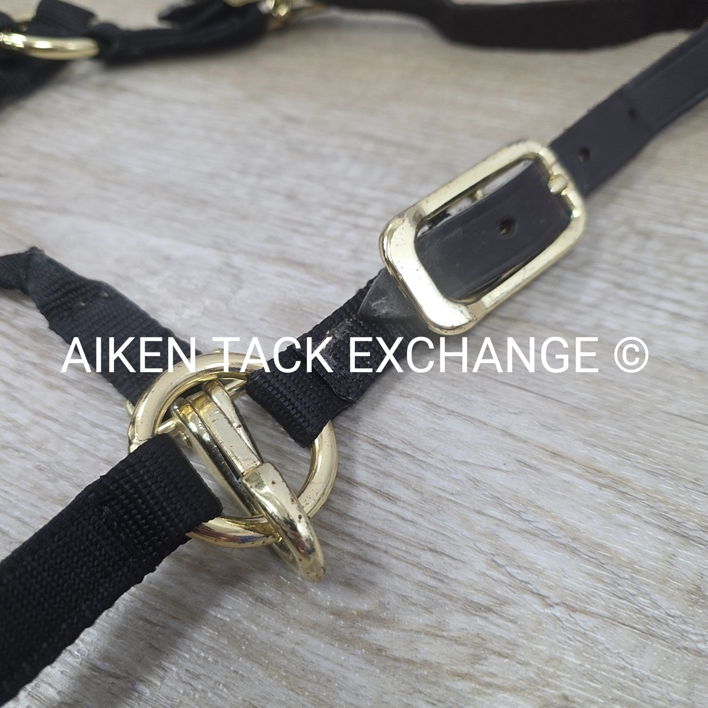 BARGAIN BUNDLE: 2 Nylon Breakaway Halters, Size Weanling / Pony