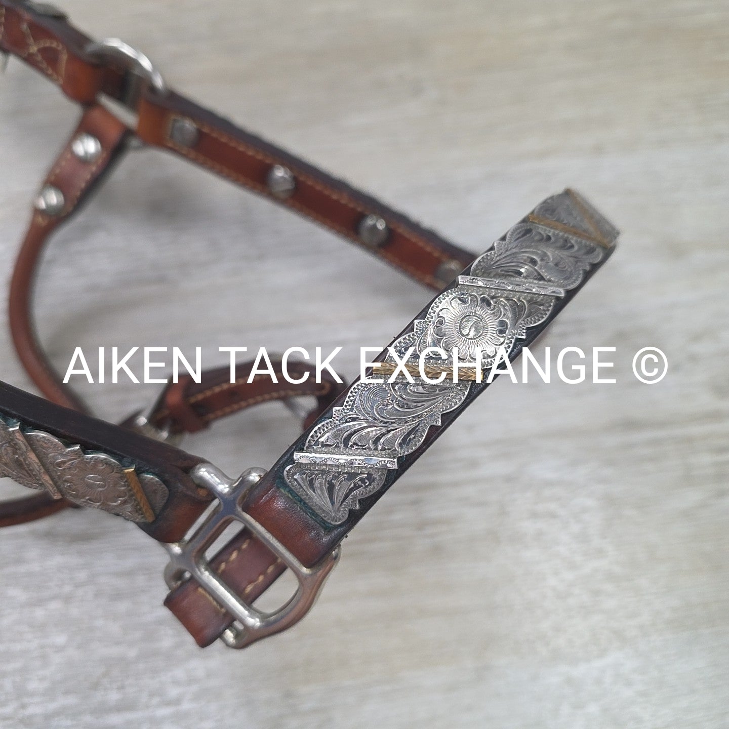 Western Show Halter, Size Foal