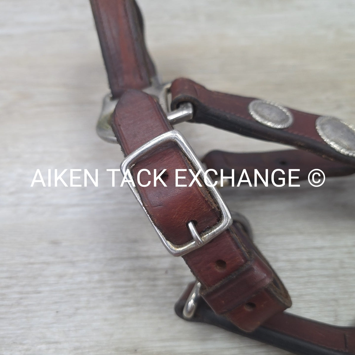 Western Show Halter, Size Full
