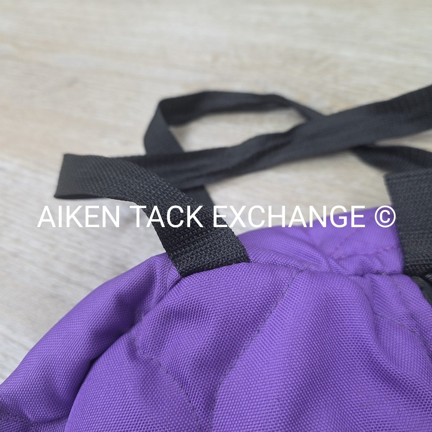 Padded Bridle Bag