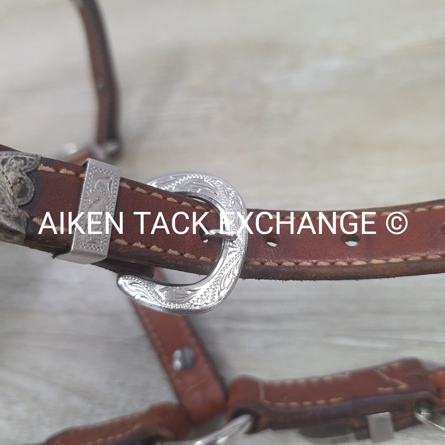 Western Show Halter, Size Foal