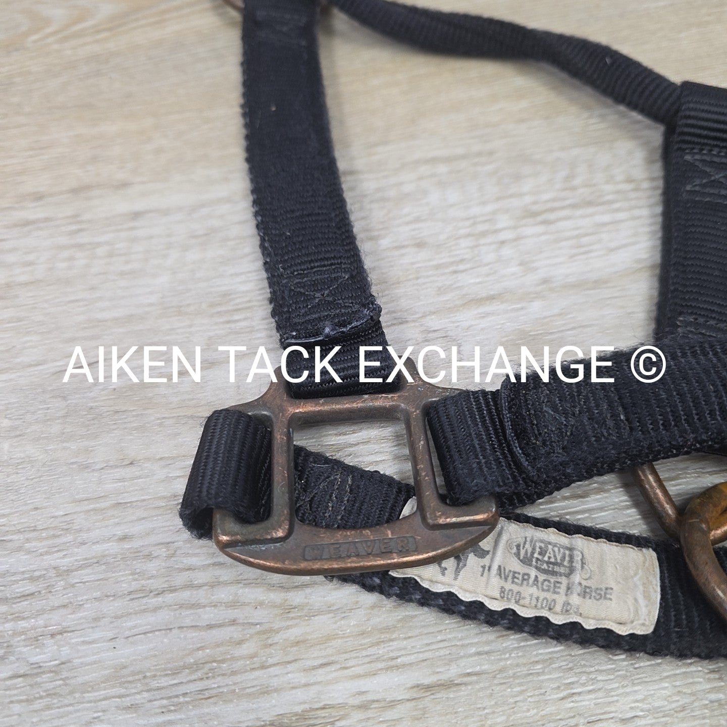 BARGAIN BUNDLE: Nylon Halter, Large, Nylon Halter Missing Crown, Full & Lead Rop