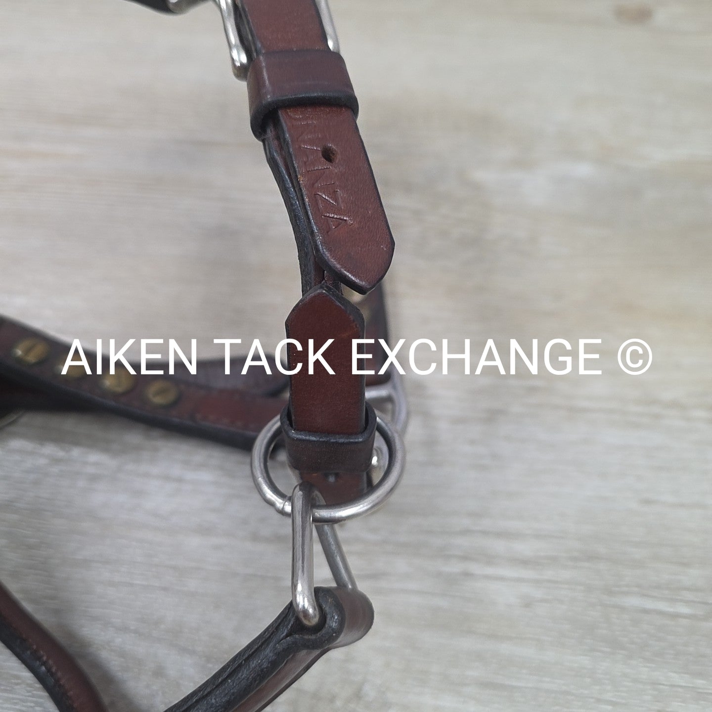 Western Show Halter, Size Foal