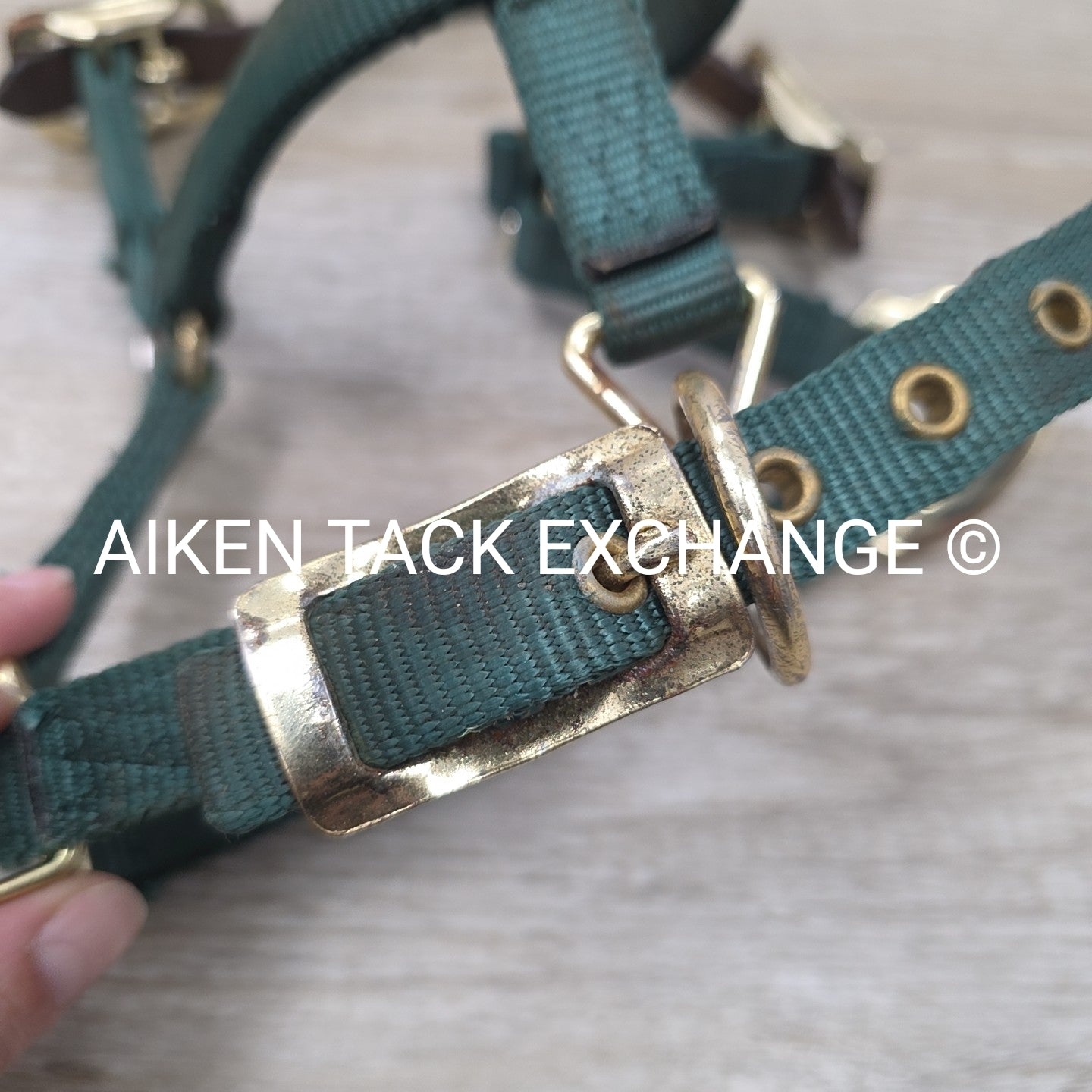 Hamilton Nylon Breakaway Halter, Size Foal