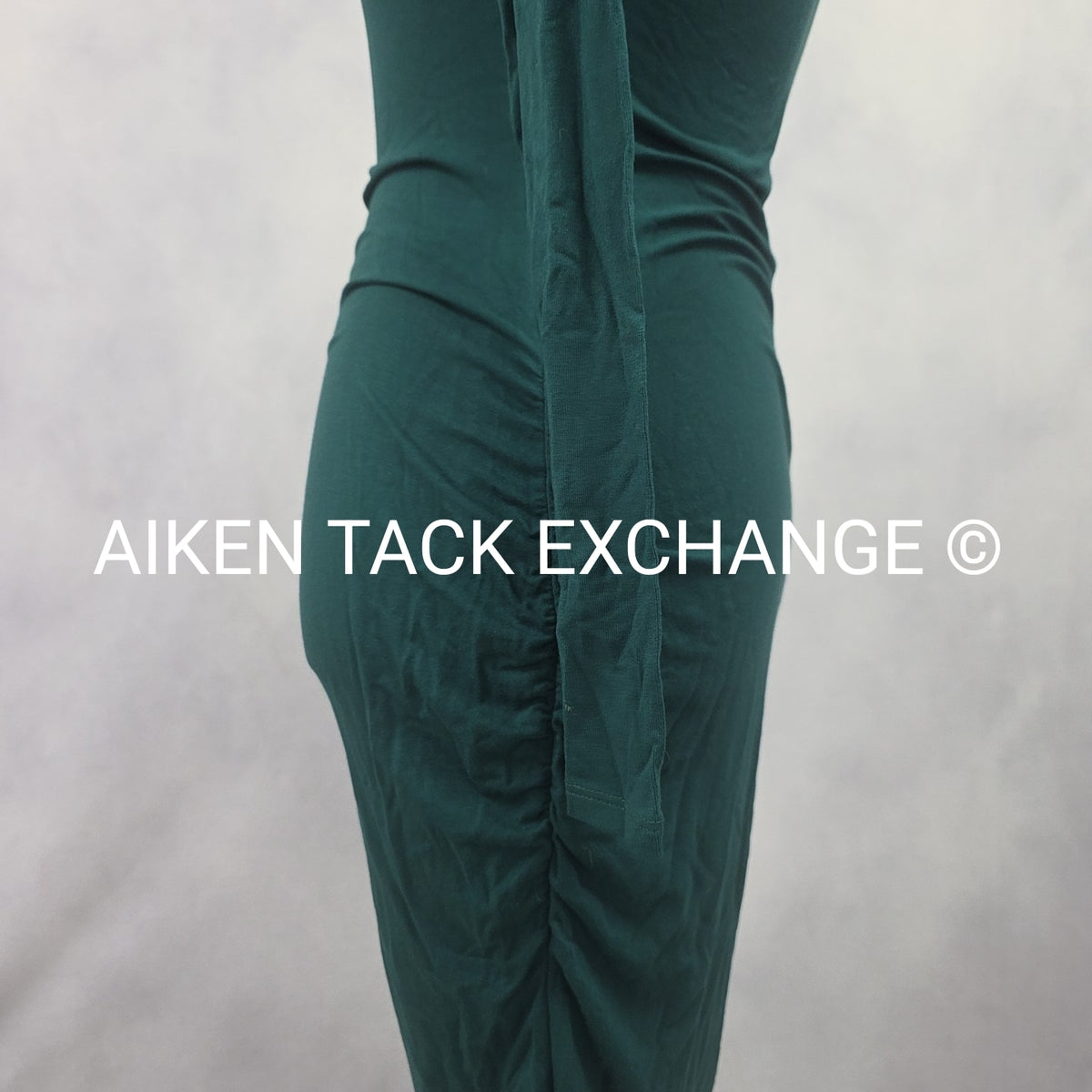 Venus Long Sleeve Dress, Size X-Small