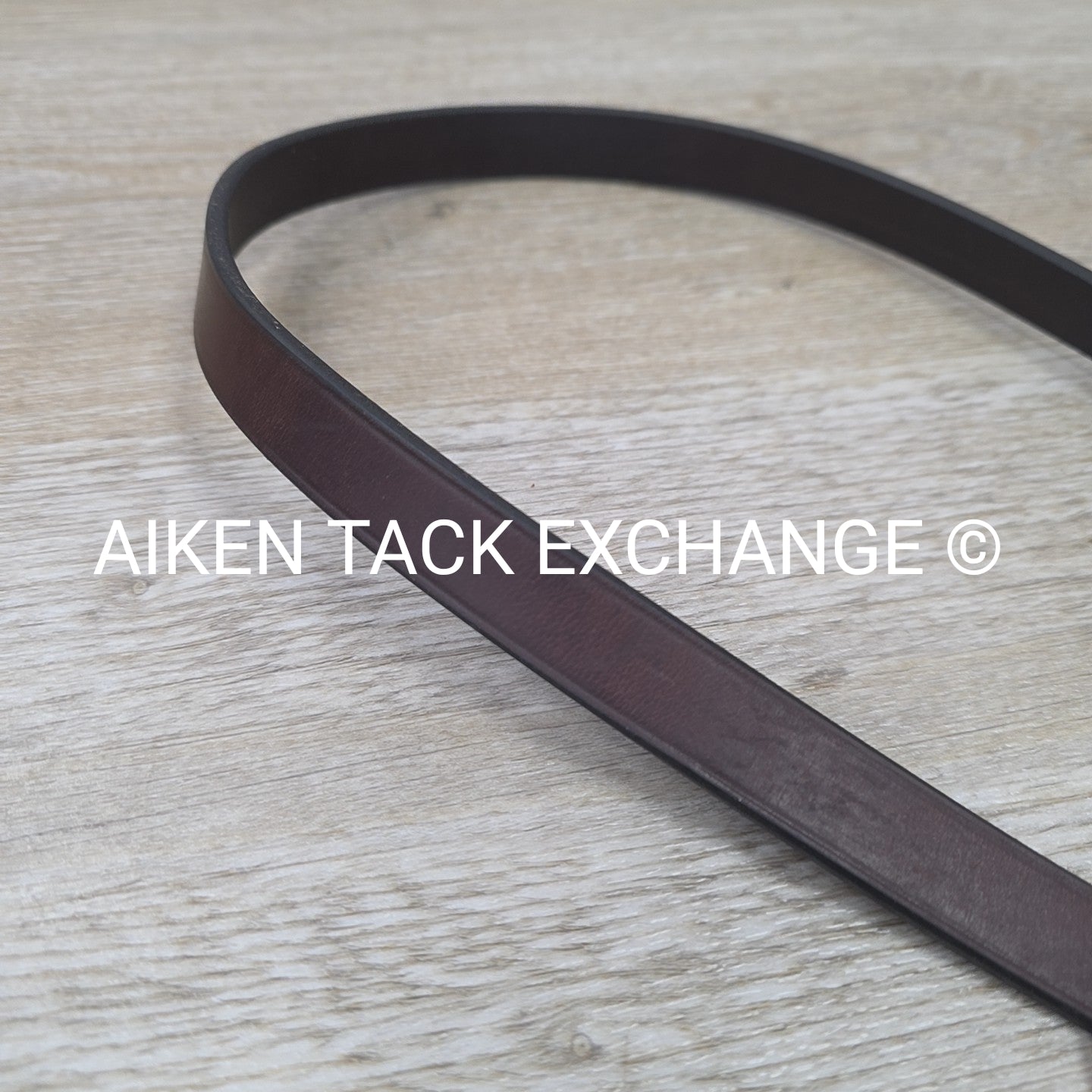 Horse Country First Flight Standing Martingale, Brown, Oversize