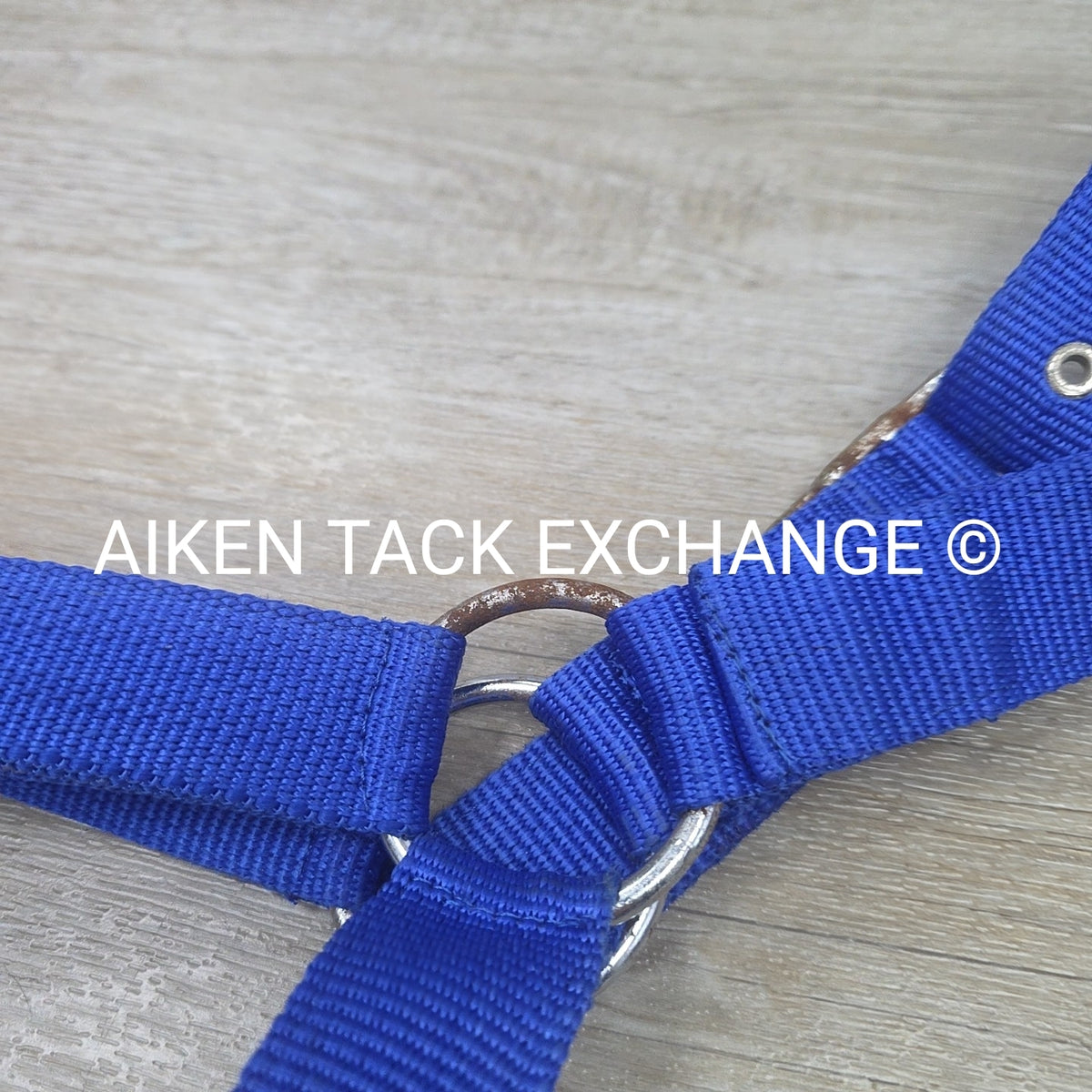 Nylon Halter, Draft