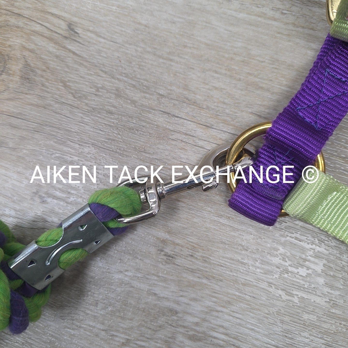 Perri's Nylon Breakaway Halter w/ Cotton Lead Rope, Size Cob