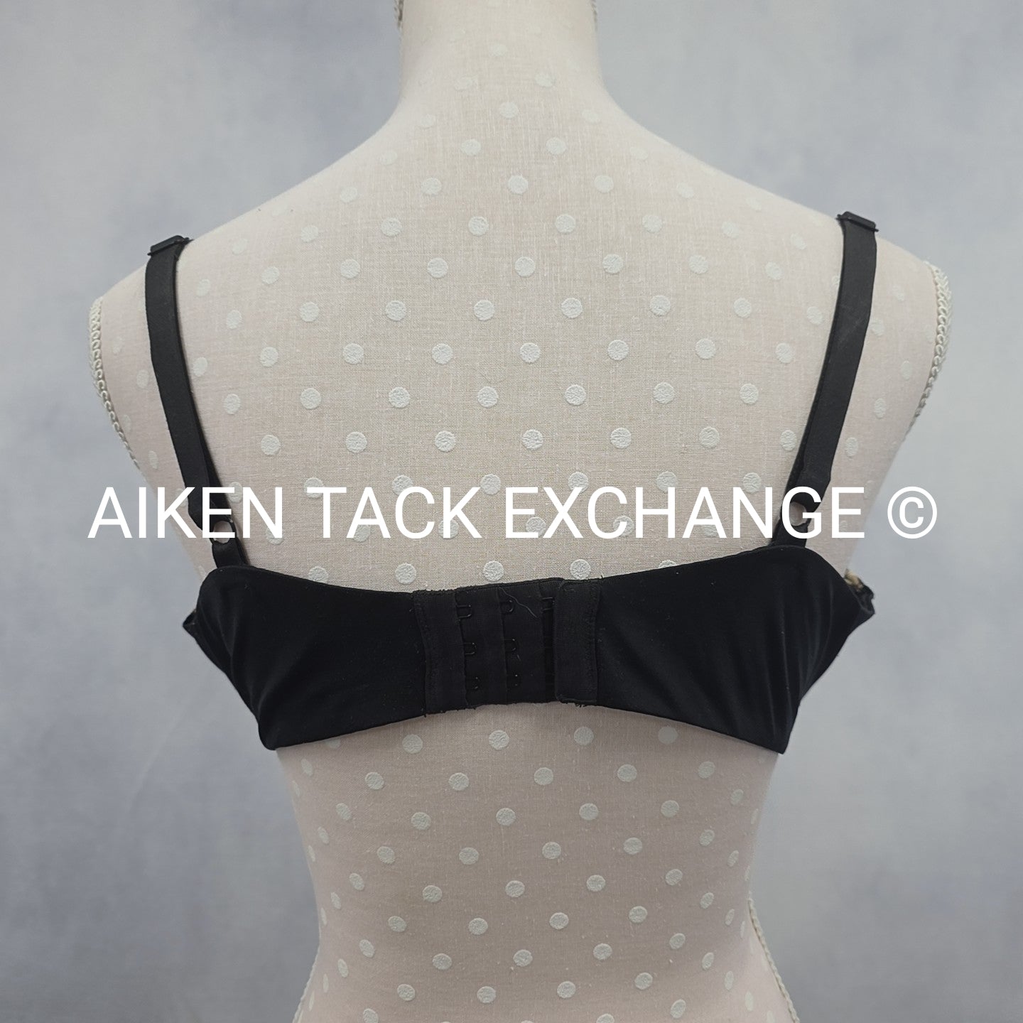 Victoria's Secret Wireless Balconette Push-Up Bra, Size 38DD