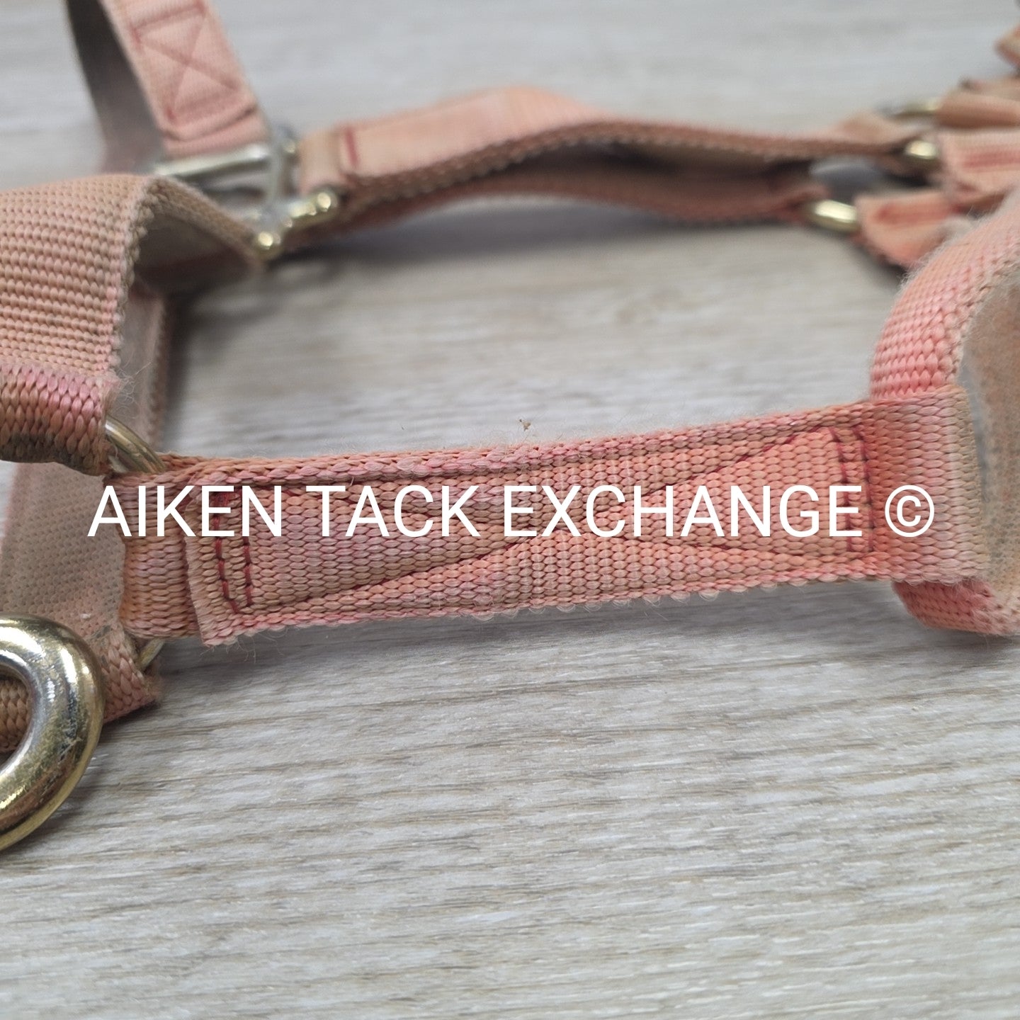 BARGAIN BUNDLE: Nylon Halter, Size Small with Lead Rope