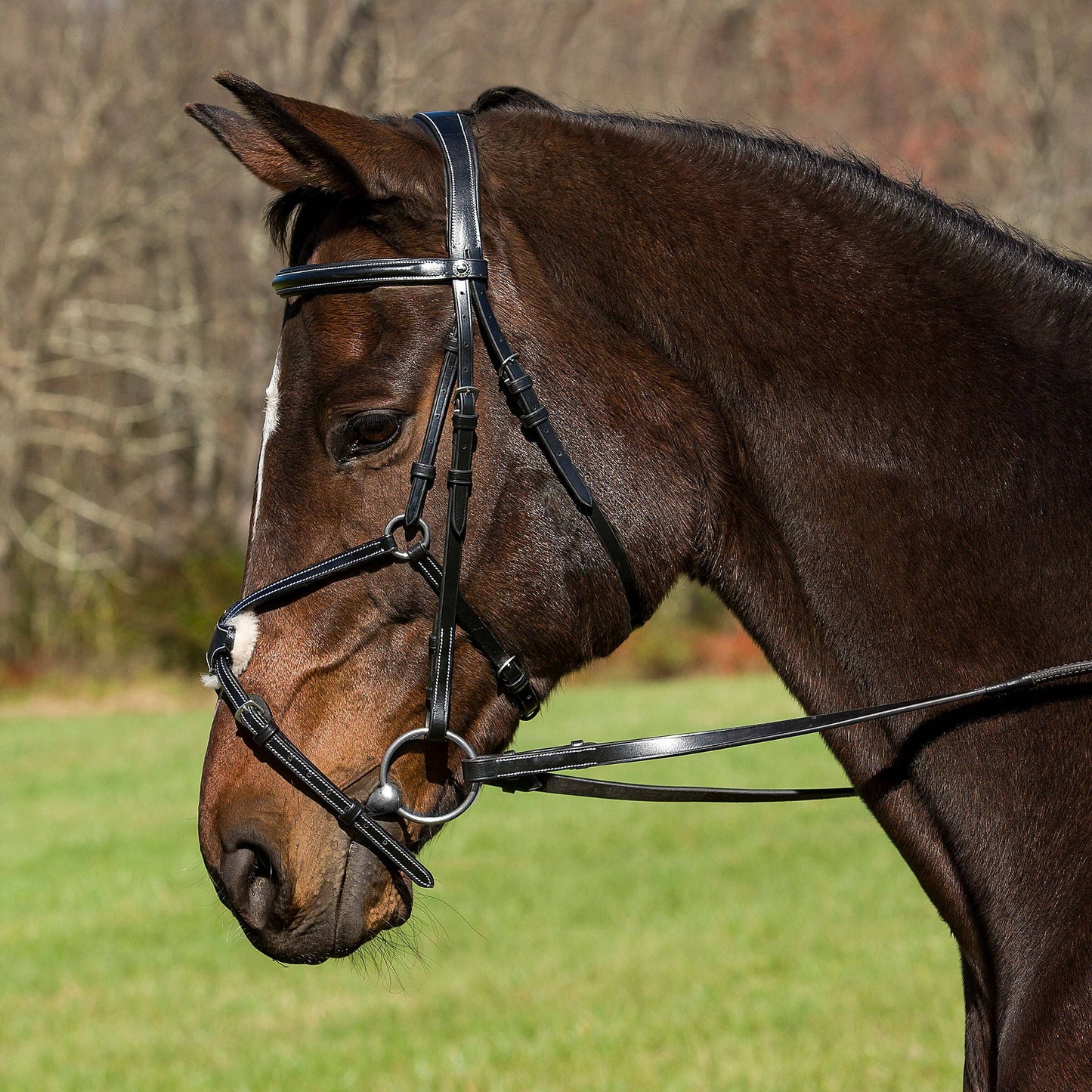 Henri de Rivel Pro Mono Crown Raised Figure Eight Bridle: Australian Nut / Cob