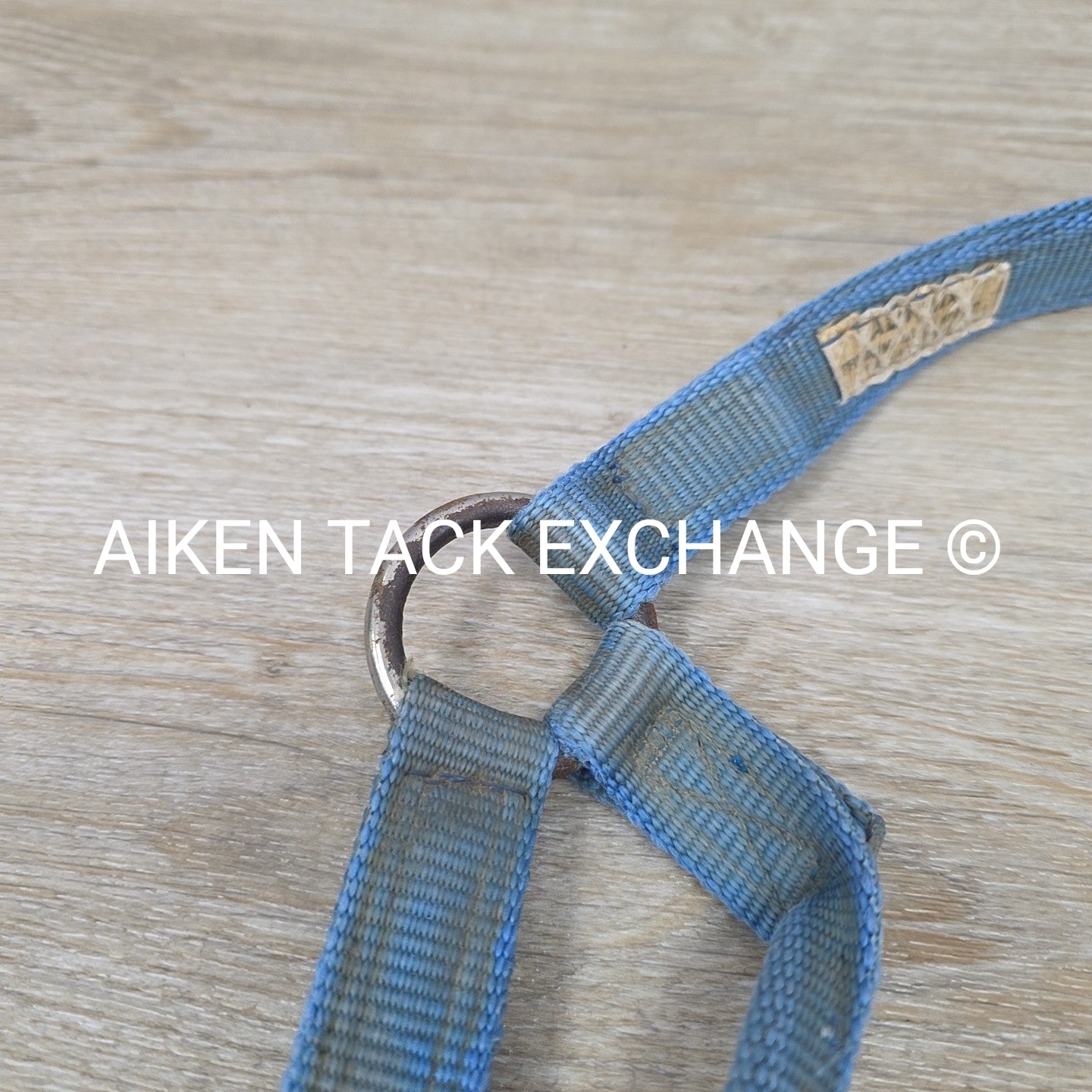 BARGAIN BUNDLE: 3 Nylon Halters, Various Sizes