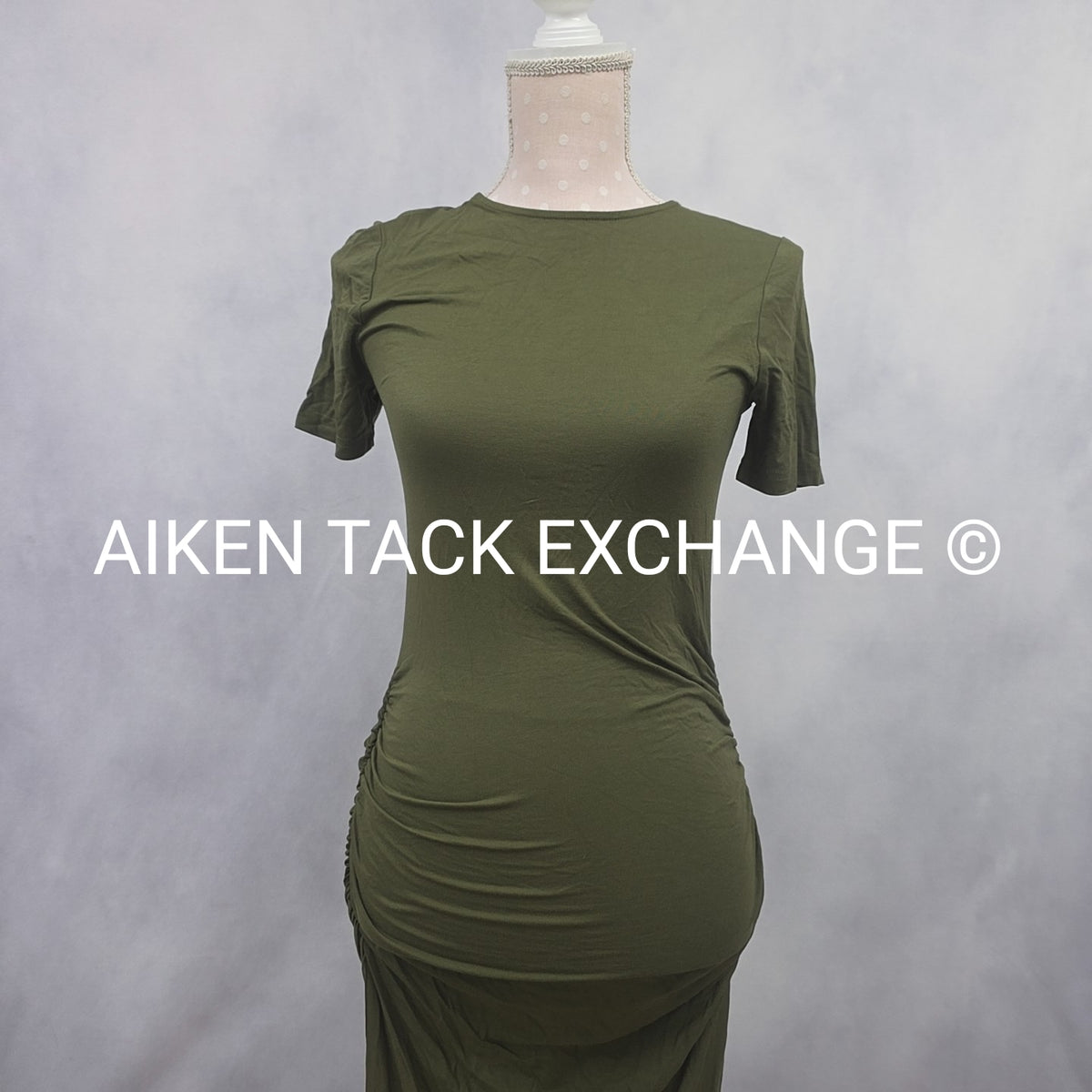 Venus T-Shirt Dress, Size X-Small