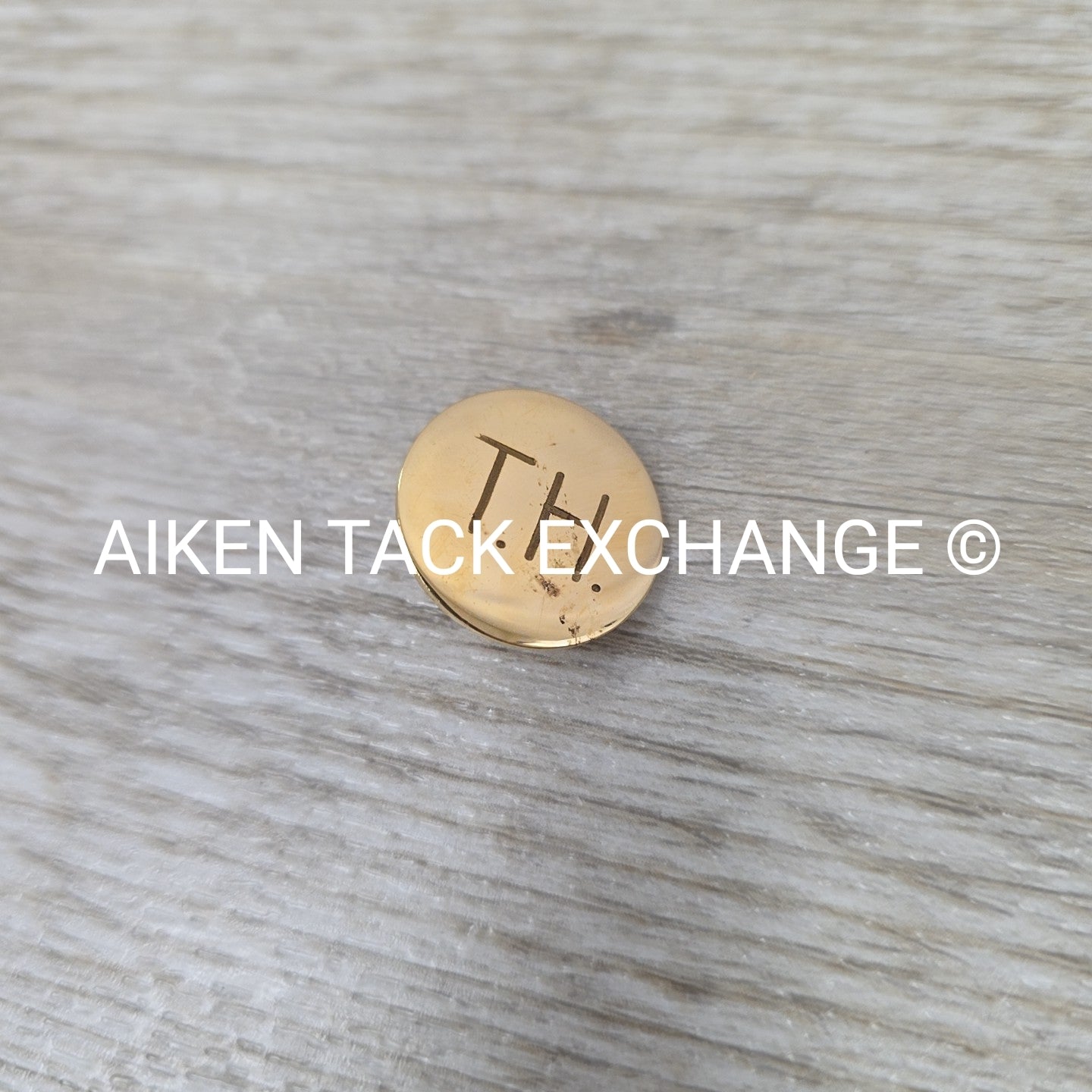 Tryon Hounds Brass Button, Large