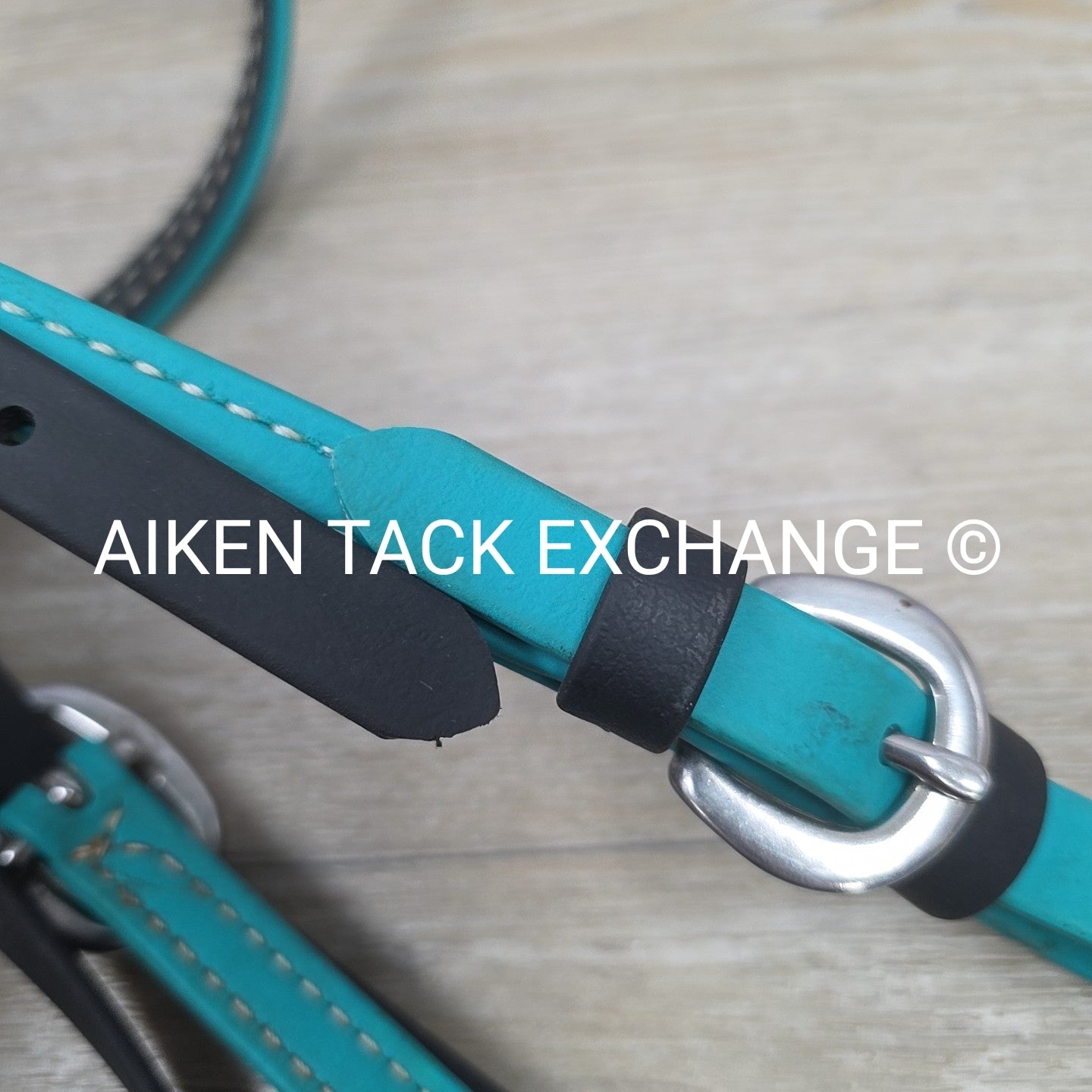 Biothane Bridle, No Reins, Size Full