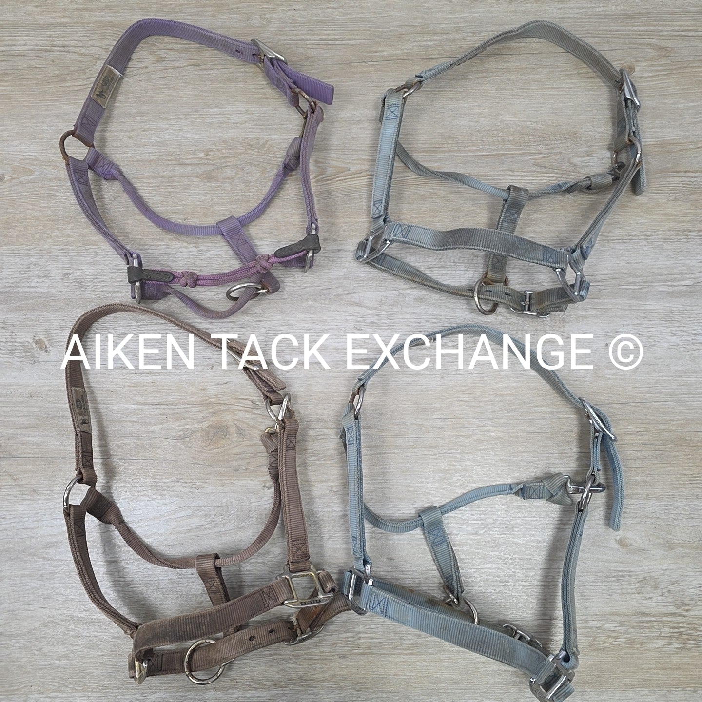 BARGAIN BUNDLE 4 Weaver Leather Nylon Halters, Size Horse