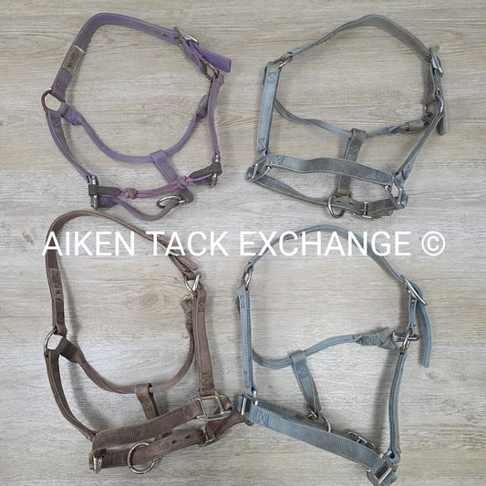 BARGAIN BUNDLE 4 Weaver Leather Nylon Halters, Size Horse