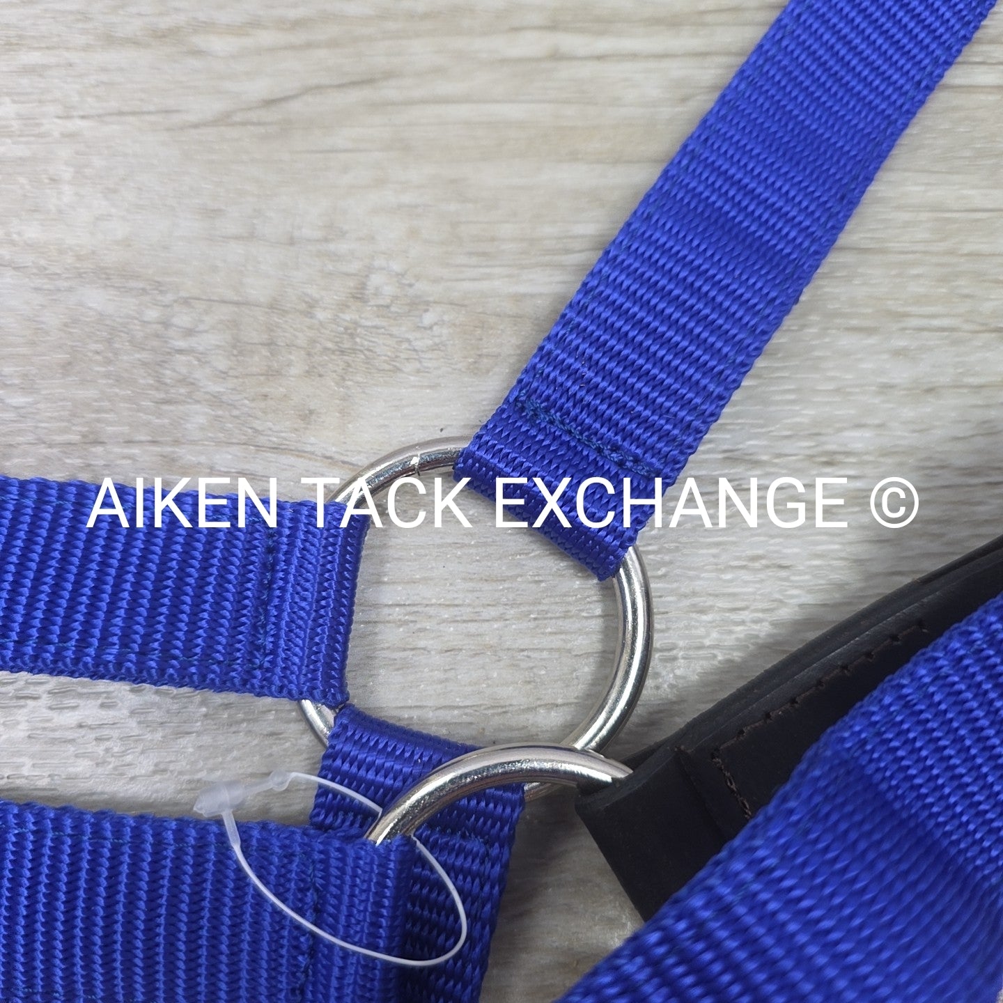 TuffRider Breakaway Nylon Halter & Lead Rope Set, Blue, Size Full