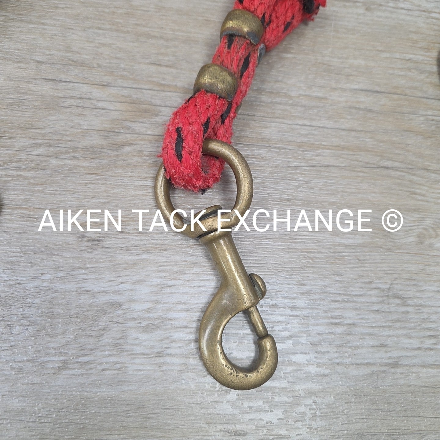 BARGAIN BUNDLE: Lead Ropes w/ Snaps